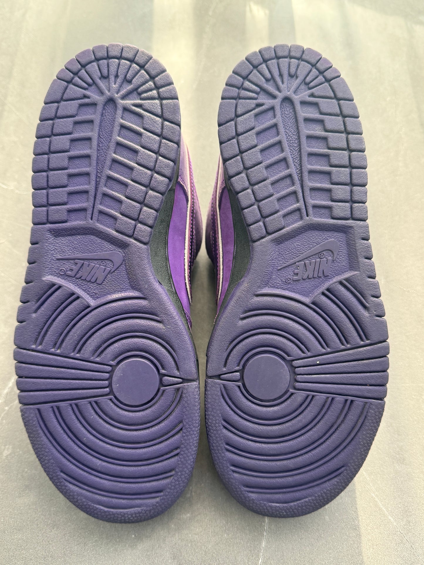 Dunk Low Pro SB Purple Lobster US7
