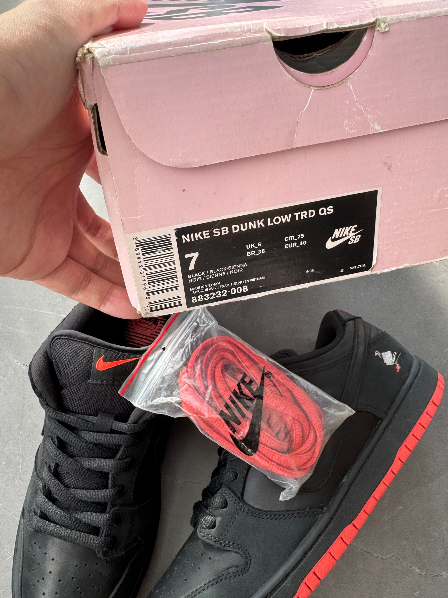 Dunk Low Pro SB Black Pigeon US7