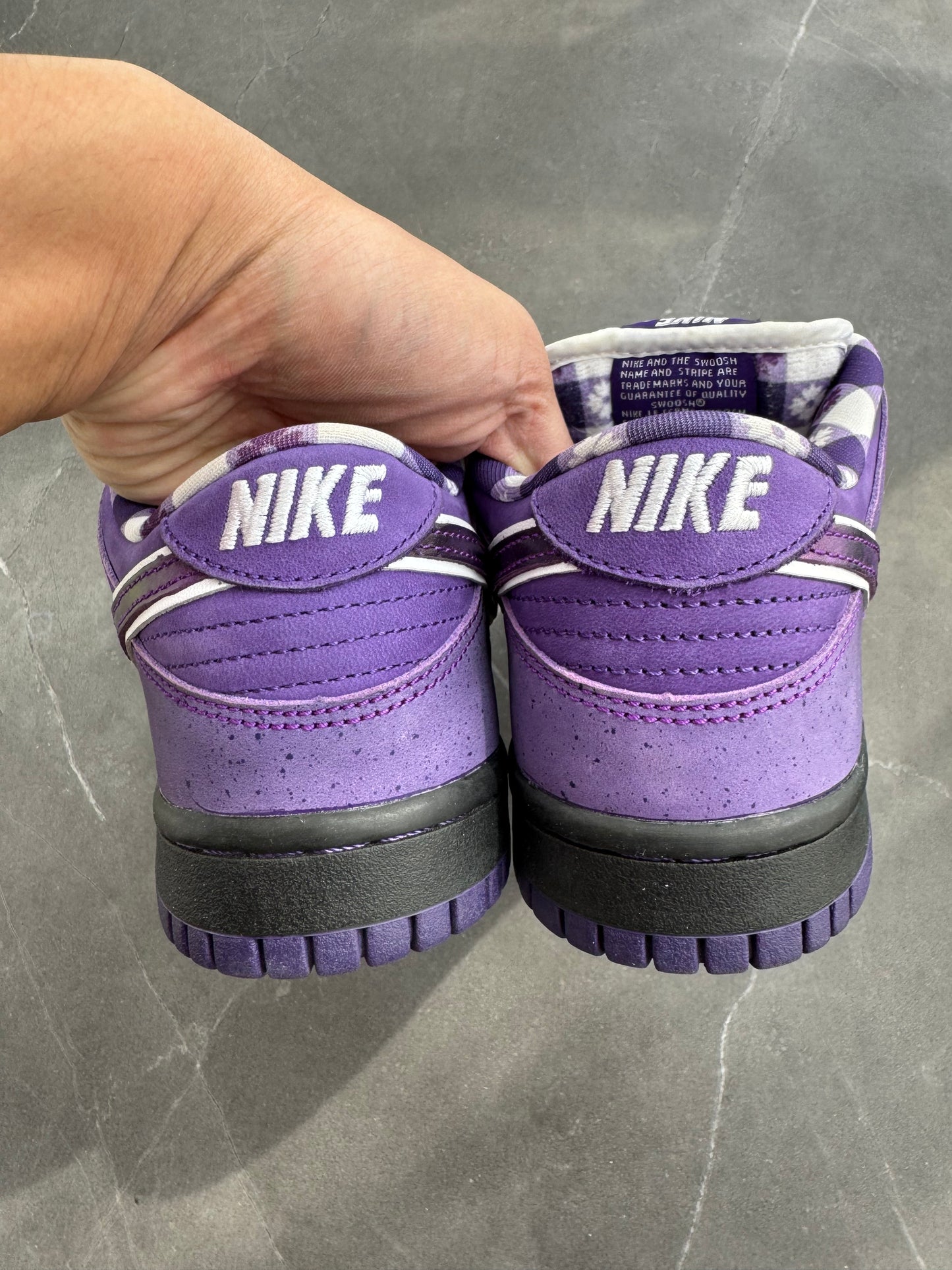 Dunk Low Pro SB Purple Lobster US5