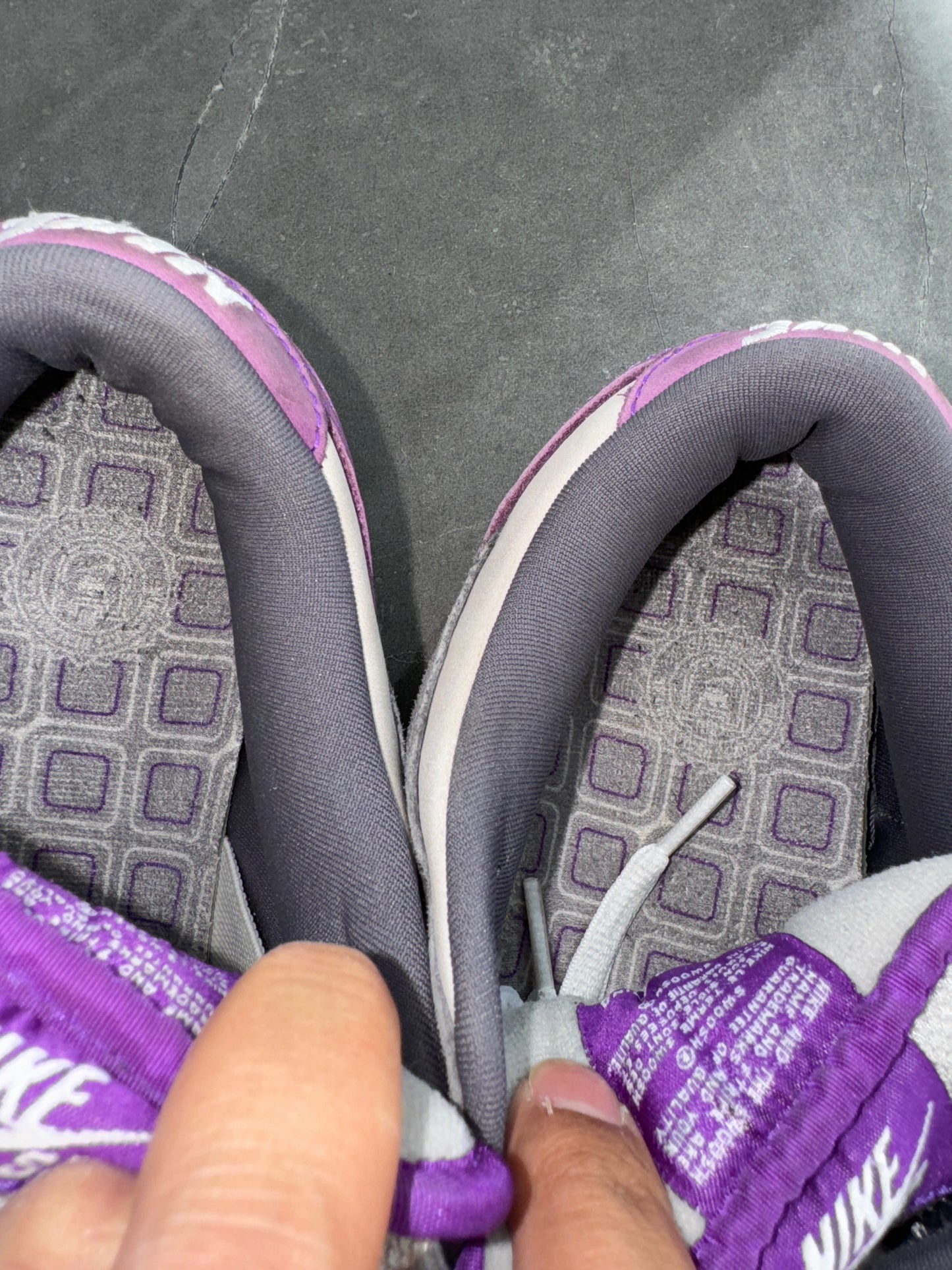 Dunk Low Pro SB Purple Pigeon 2006 US11