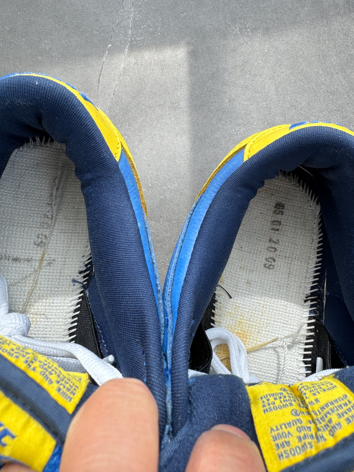 Dunk Low Pro SB Boca Juniors 2005