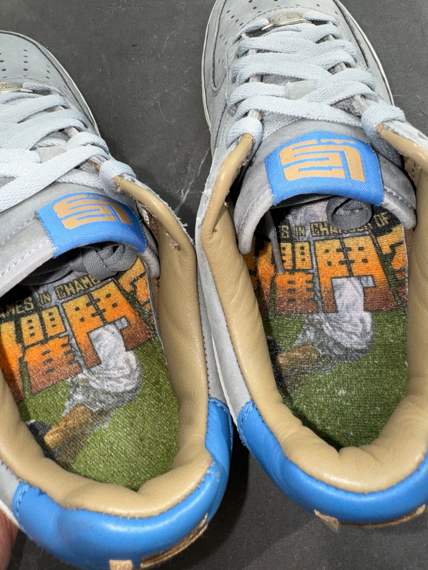 Air Force 1 Low Chamber Of Fear Complacency 2004
