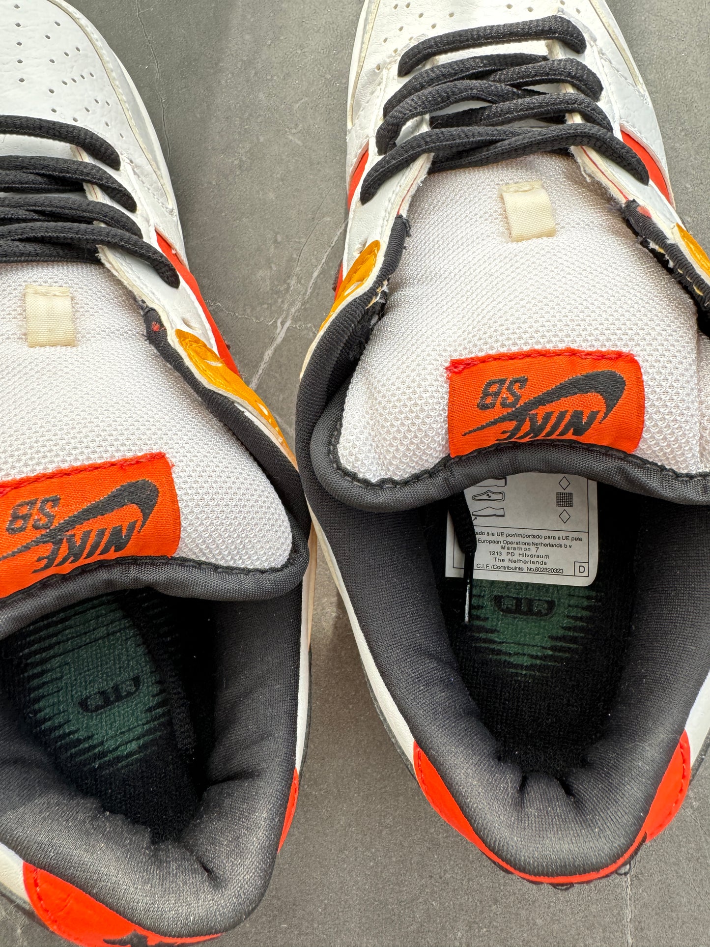 Dunk Low Pro SB RayGun White 2005