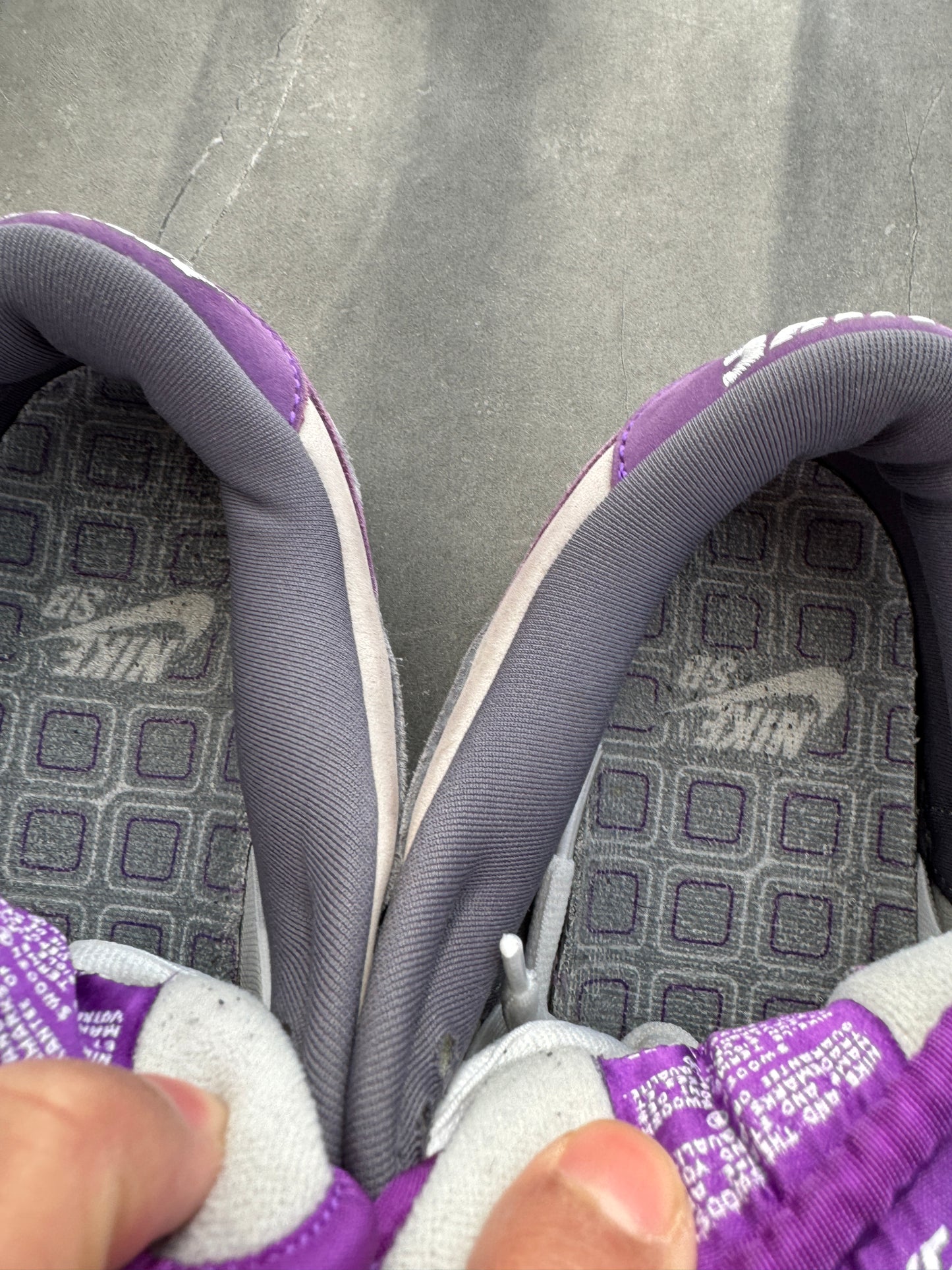 Dunk Low Pro SB Purple Pigeon 2006 US11.5