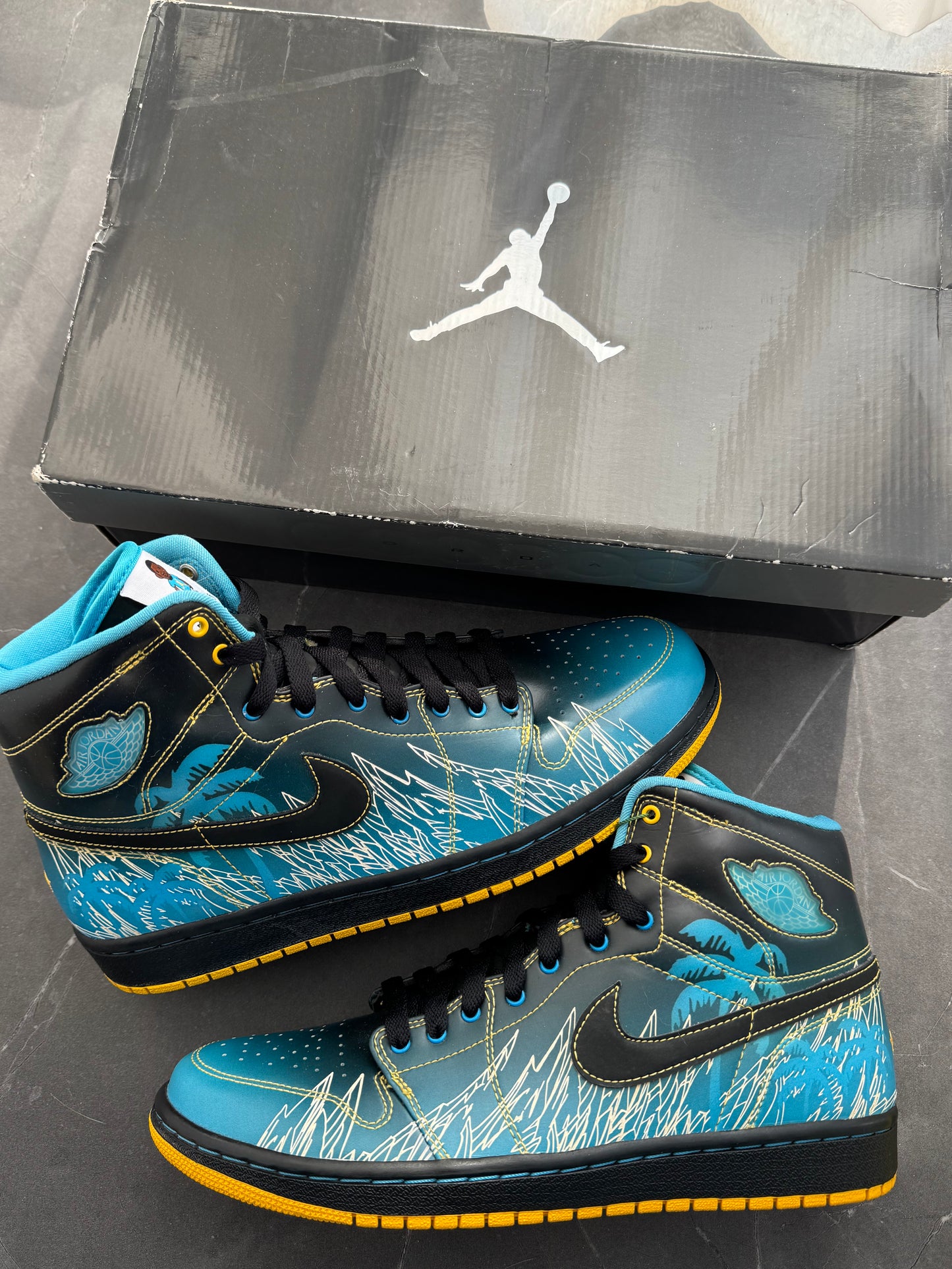 Air Jordan 1 High Doernbecher Mr. Boober 2008