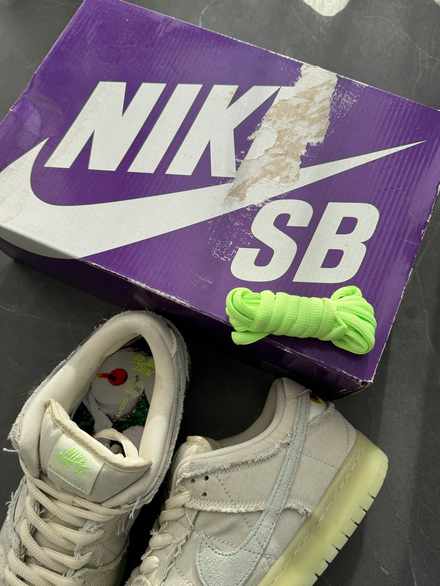 1️⃣3️⃣ Dunk Low Pro SB Mummy US10.5