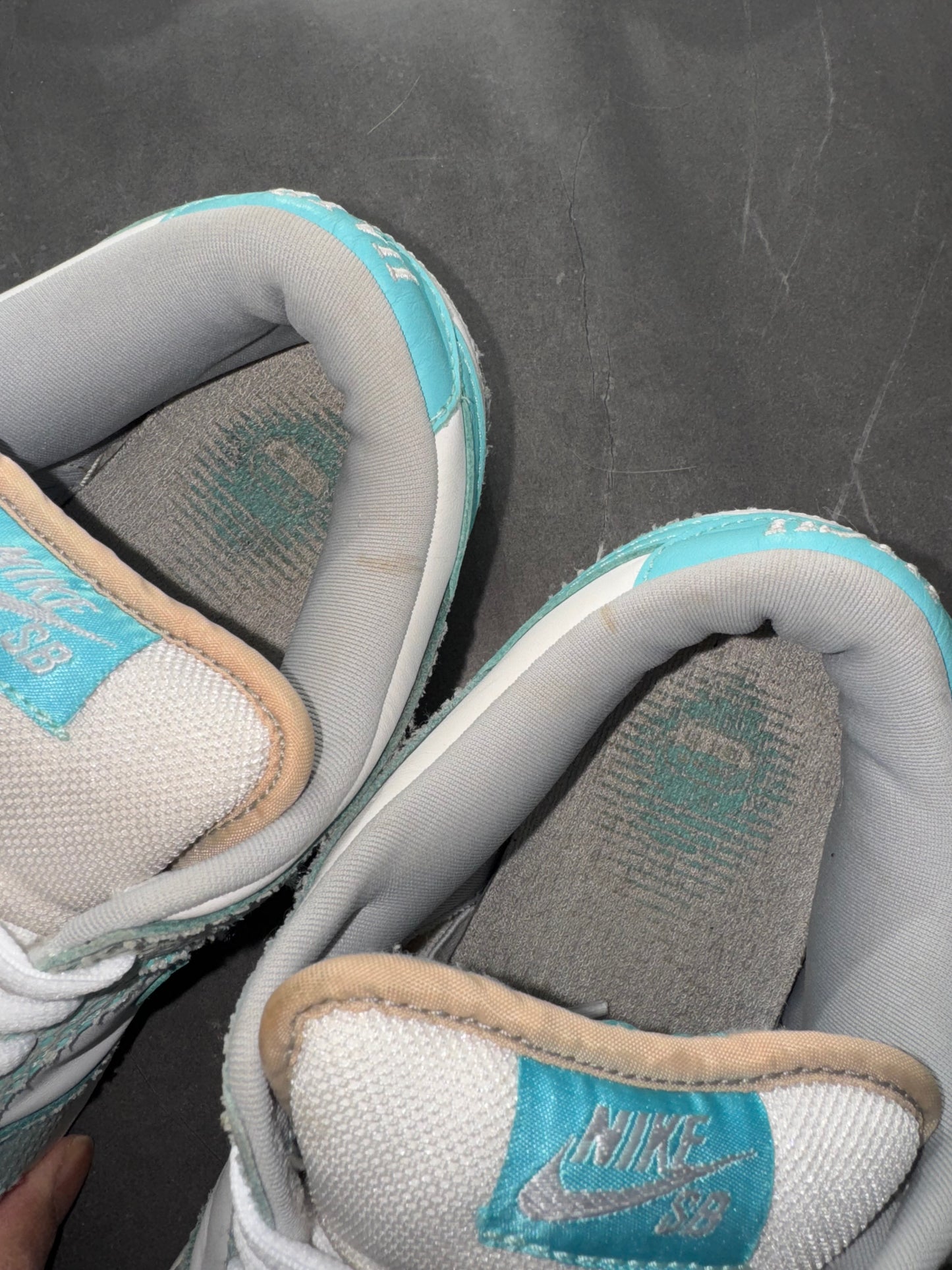 Dunk Low Premium SB High Hair 2005