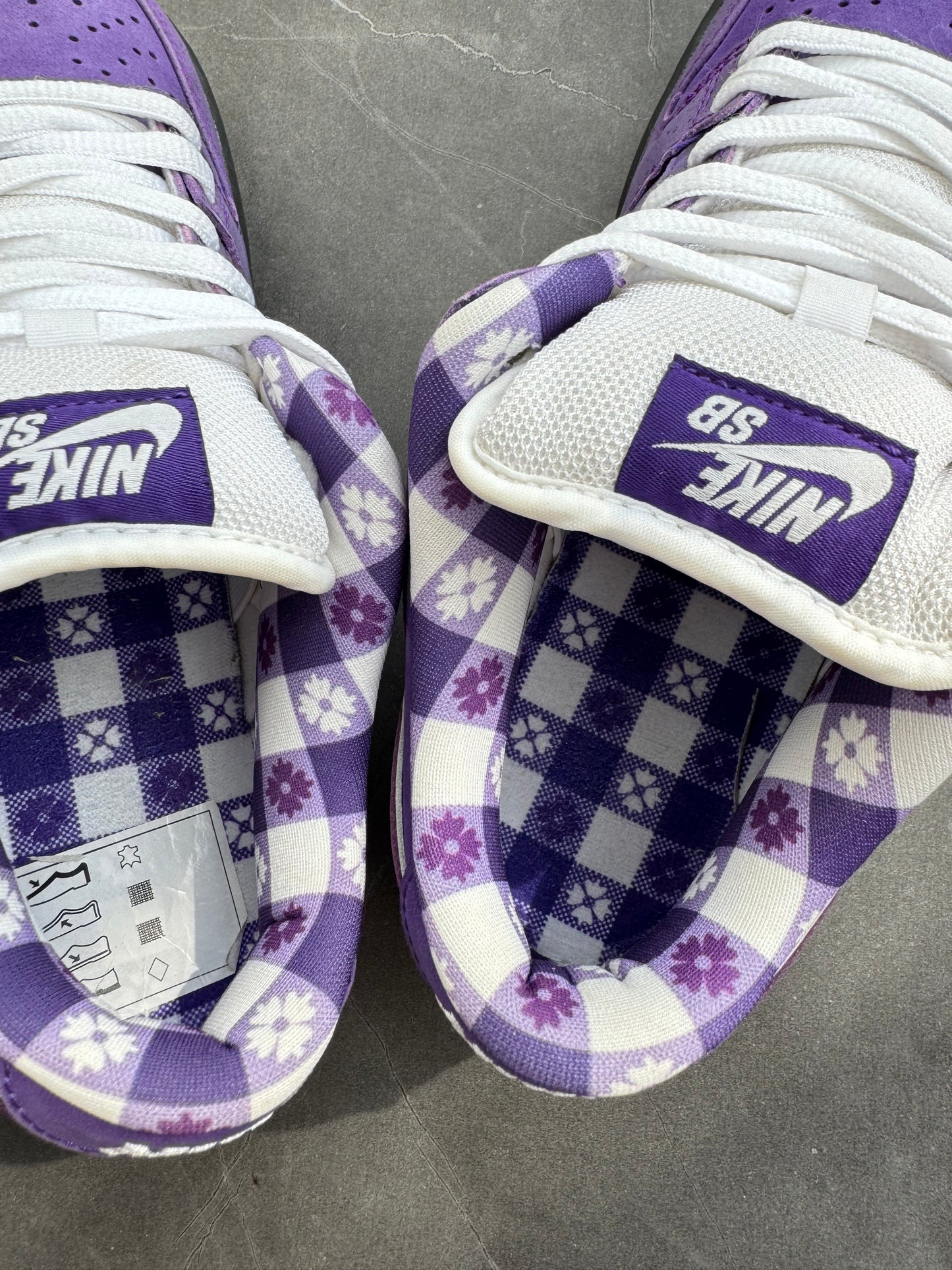 Dunk Low Pro SB Purple Lobster US5
