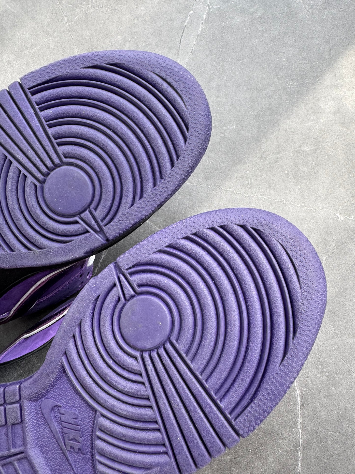 Dunk Low Pro SB Purple Lobster US5