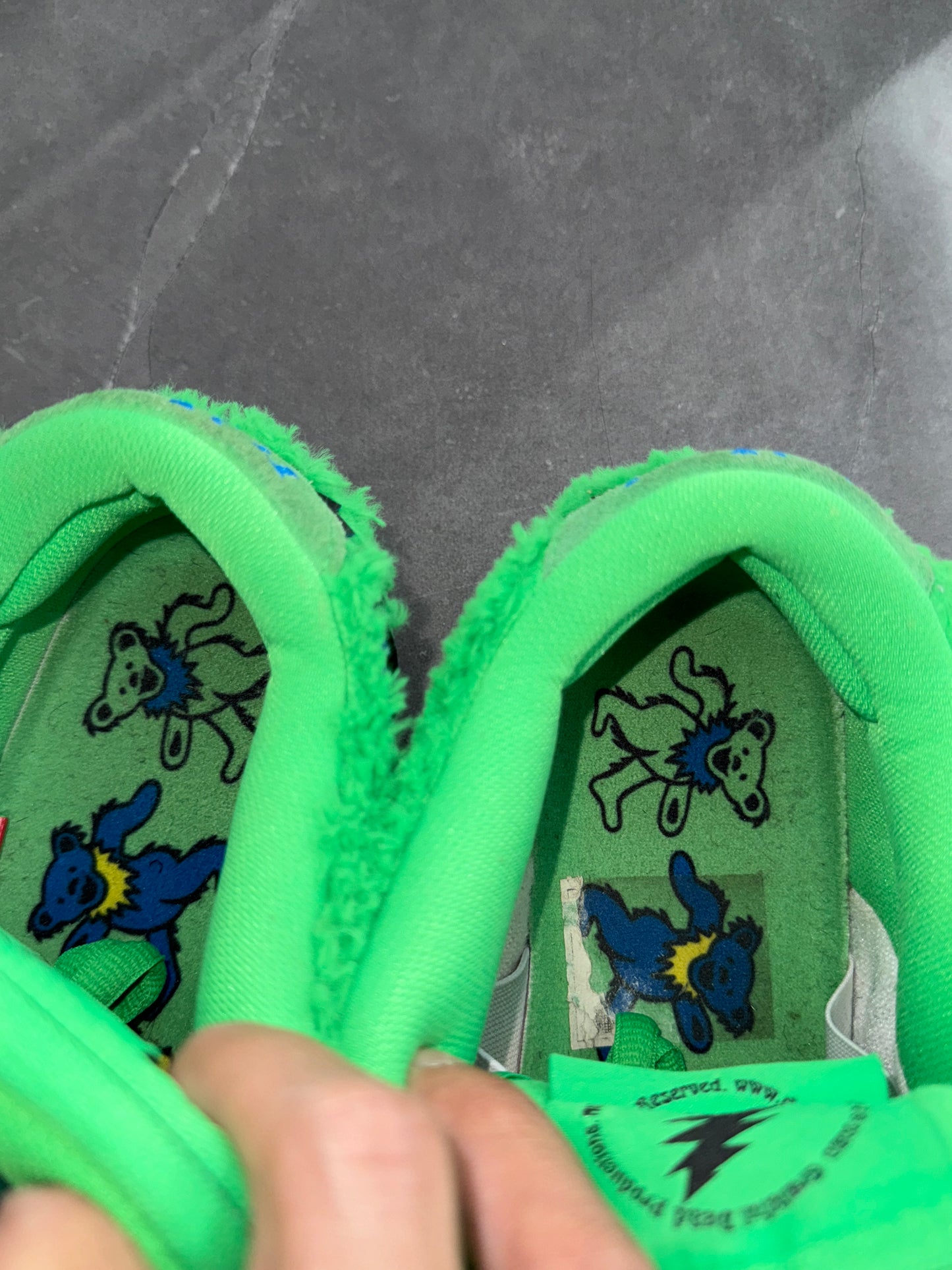 Dunk Low Pro SB Greatful Dead Bears Green US10.5