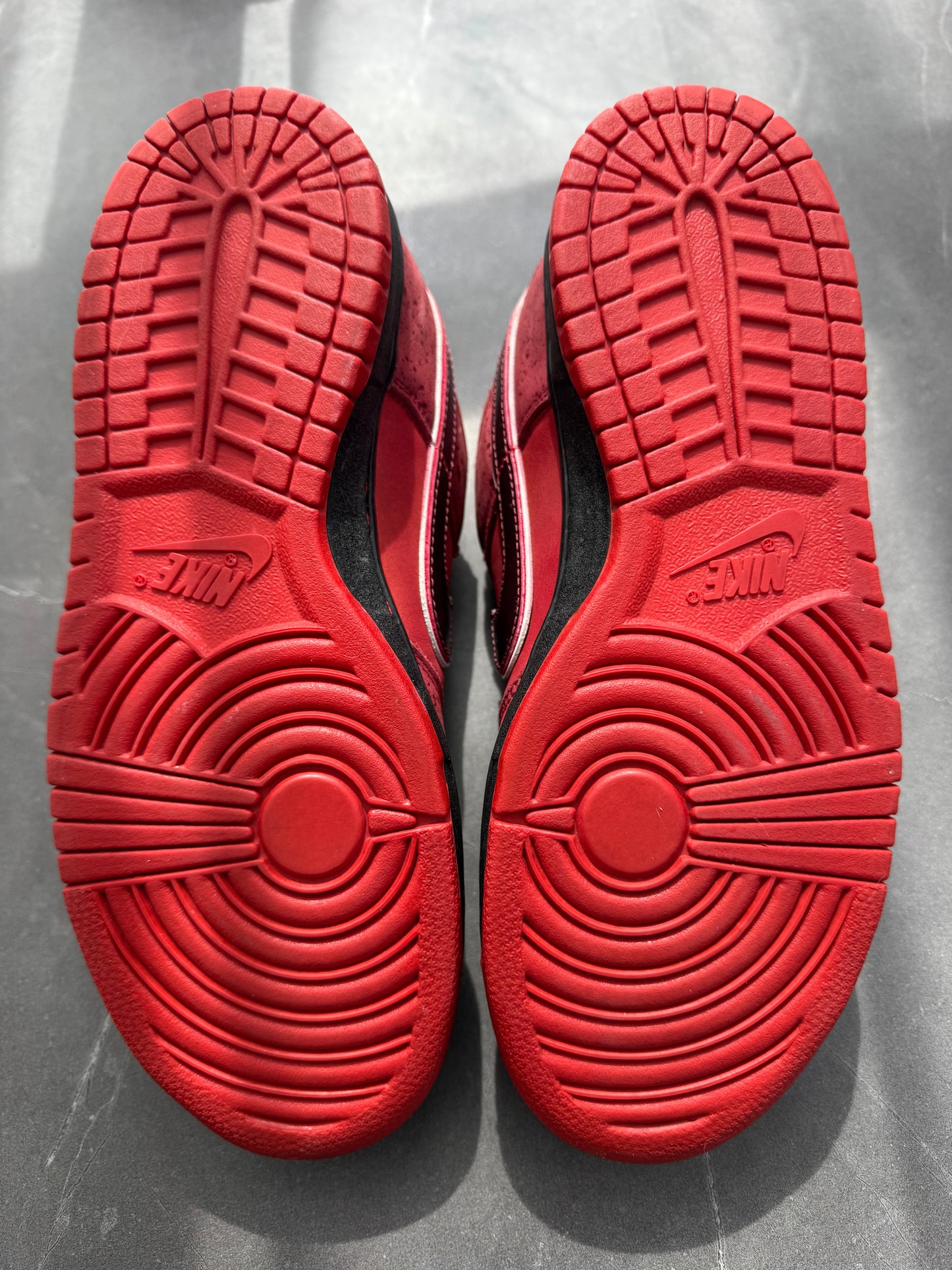 Dunk Low Premium SB Red Lobster 2008