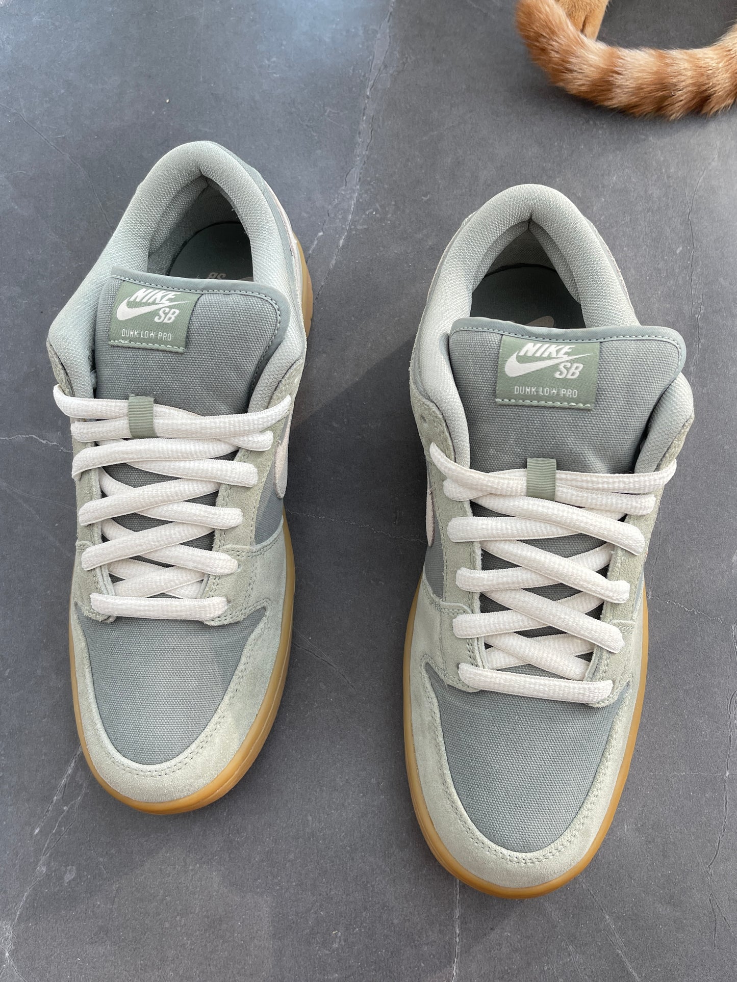 Dunk Low Pro SB Island Green Gum Un-Released Sample