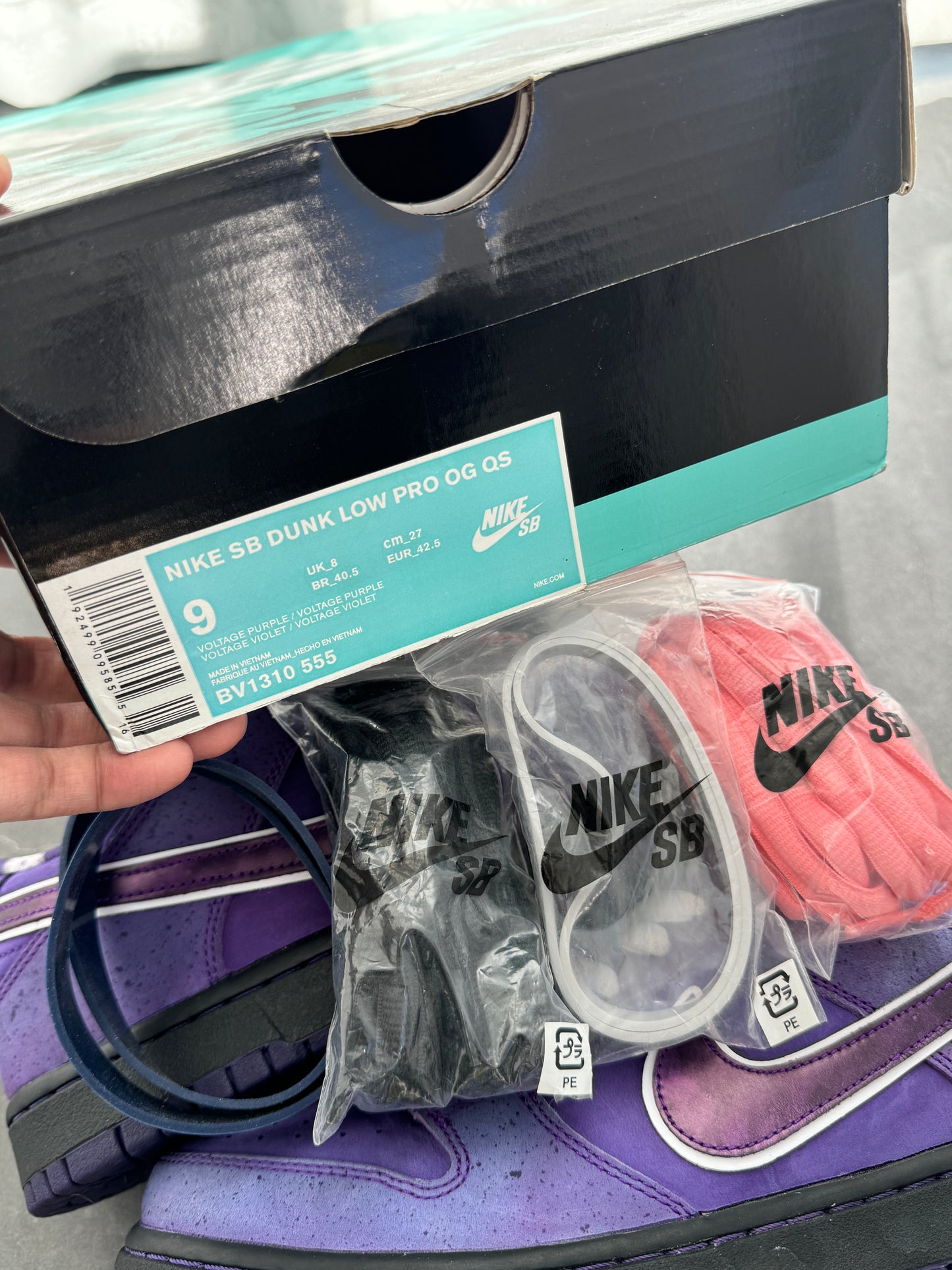 Dunk Low Pro SB Purple Lobster US9