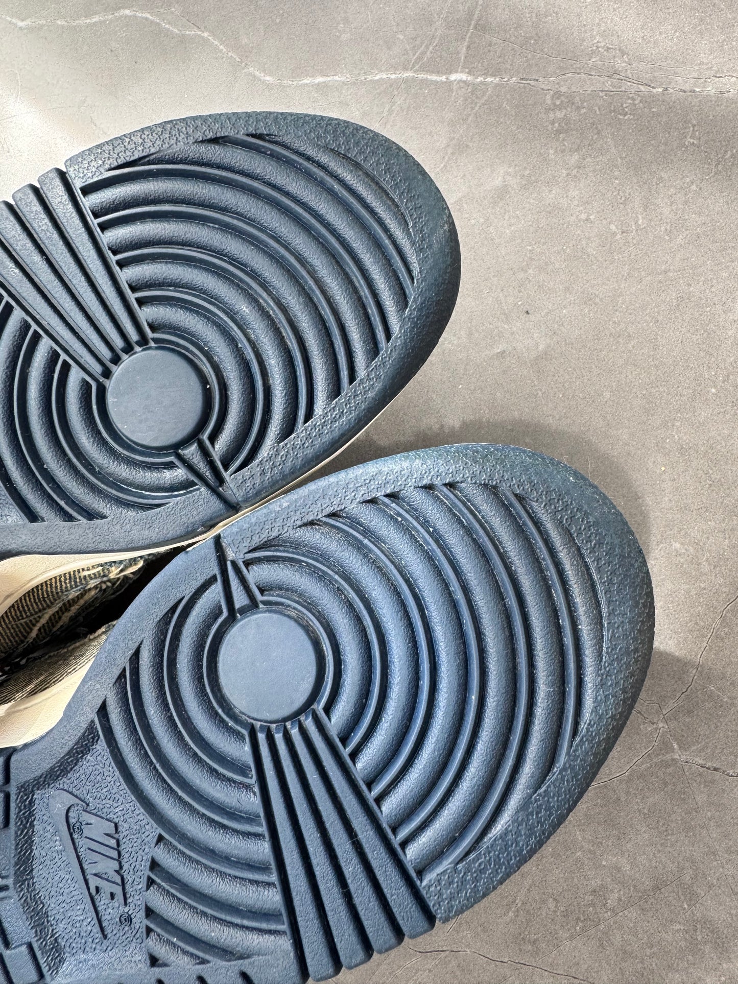 Dunk Low CL Denim 2005