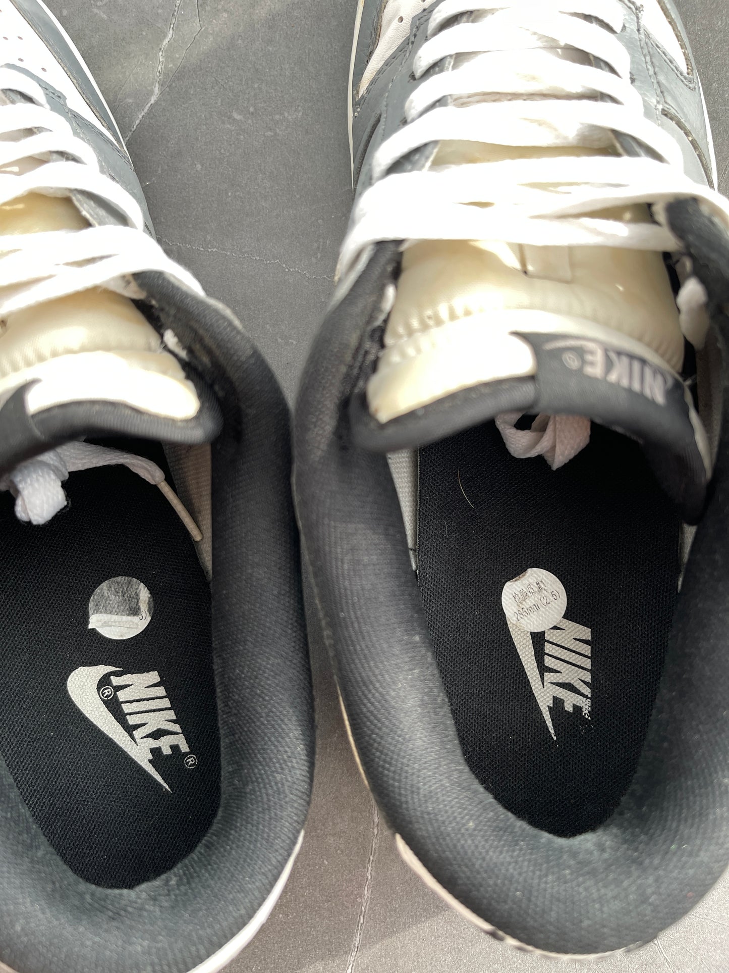 Dunk Low Cool Grey 2012