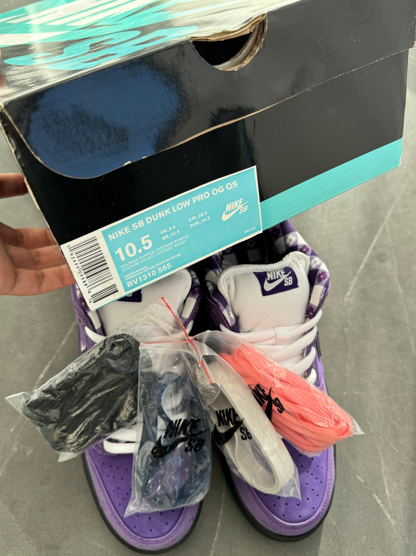 Dunk Low Pro SB Purple Lobster US10.5