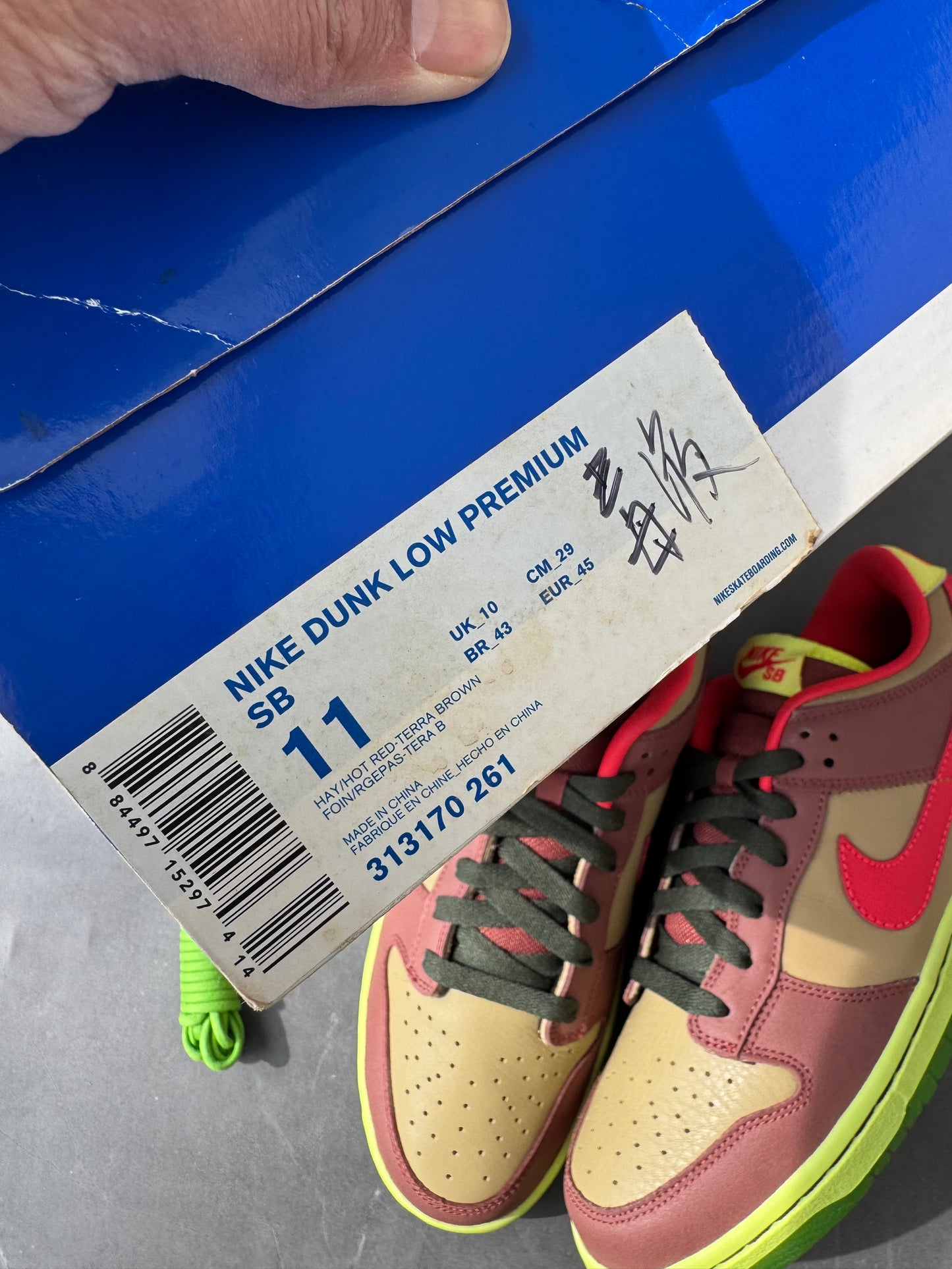 Dunk Low Premium SB Toxic Sea Robbin 2009 US11