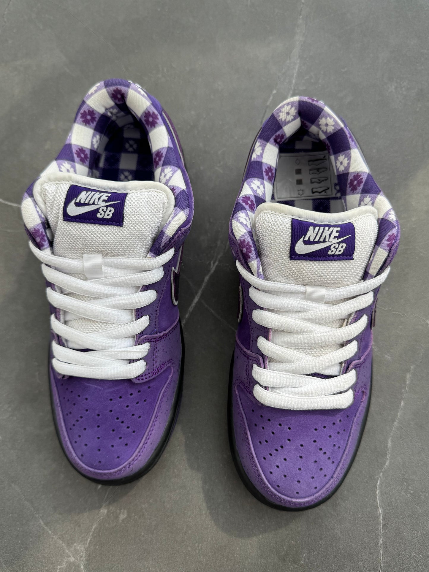 Dunk Low Pro SB Purple Lobster US5