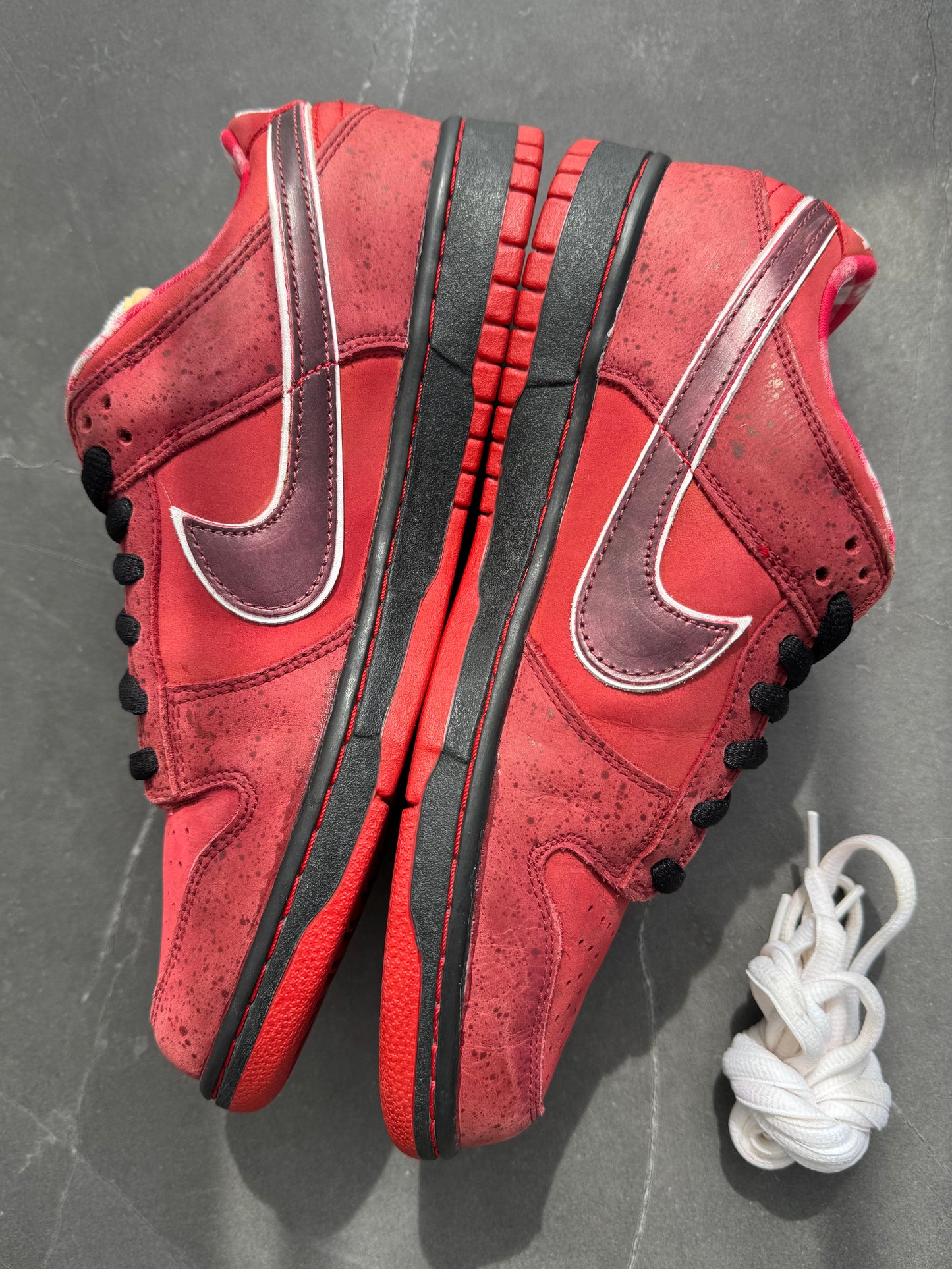 Dunk Low Premium SB Red Lobster 2008