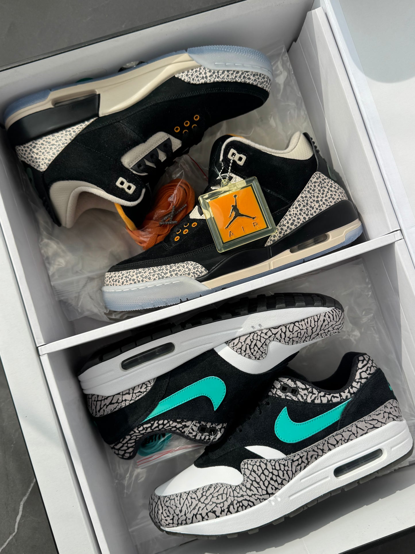 Air Jordan 3 & Air Max 1 Atmos Pack