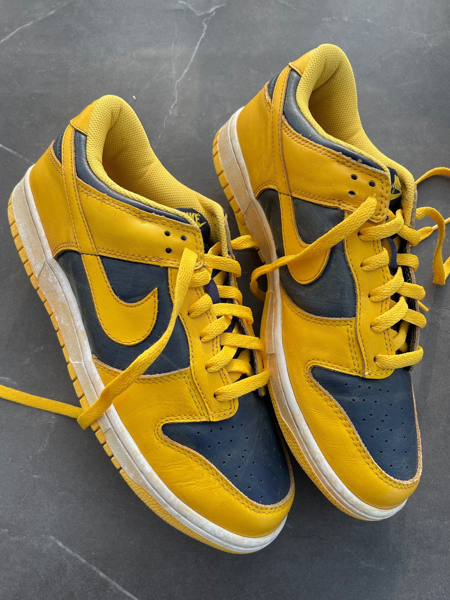 Dunk Low VNTG Pack Reverse Michigan 2010 US10