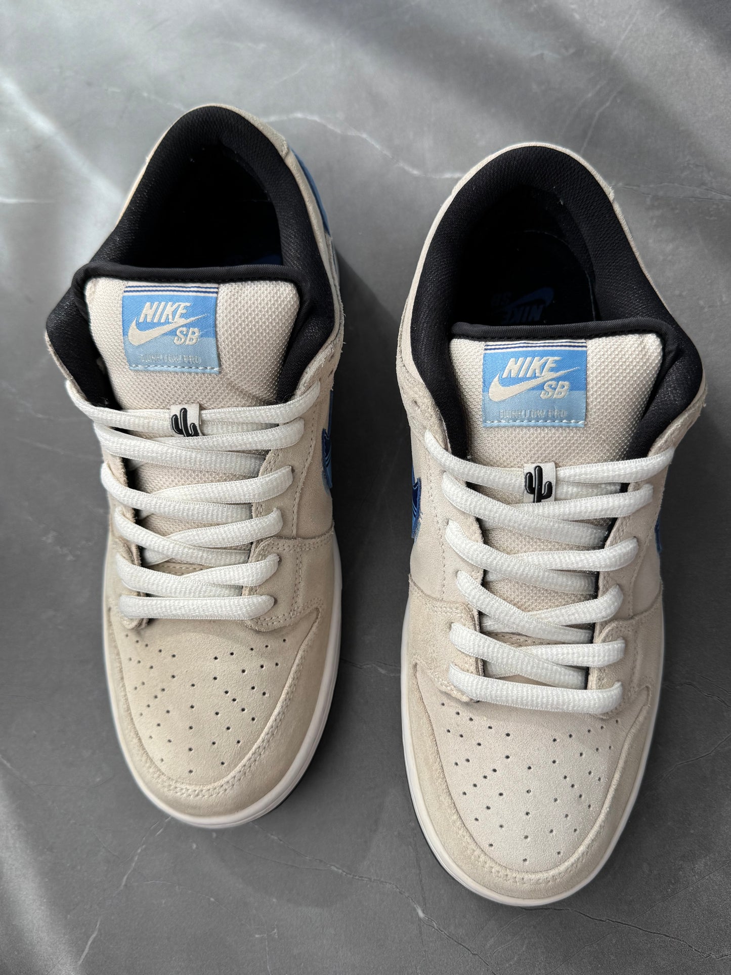 Dunk Low Pro SB Truck It Sample