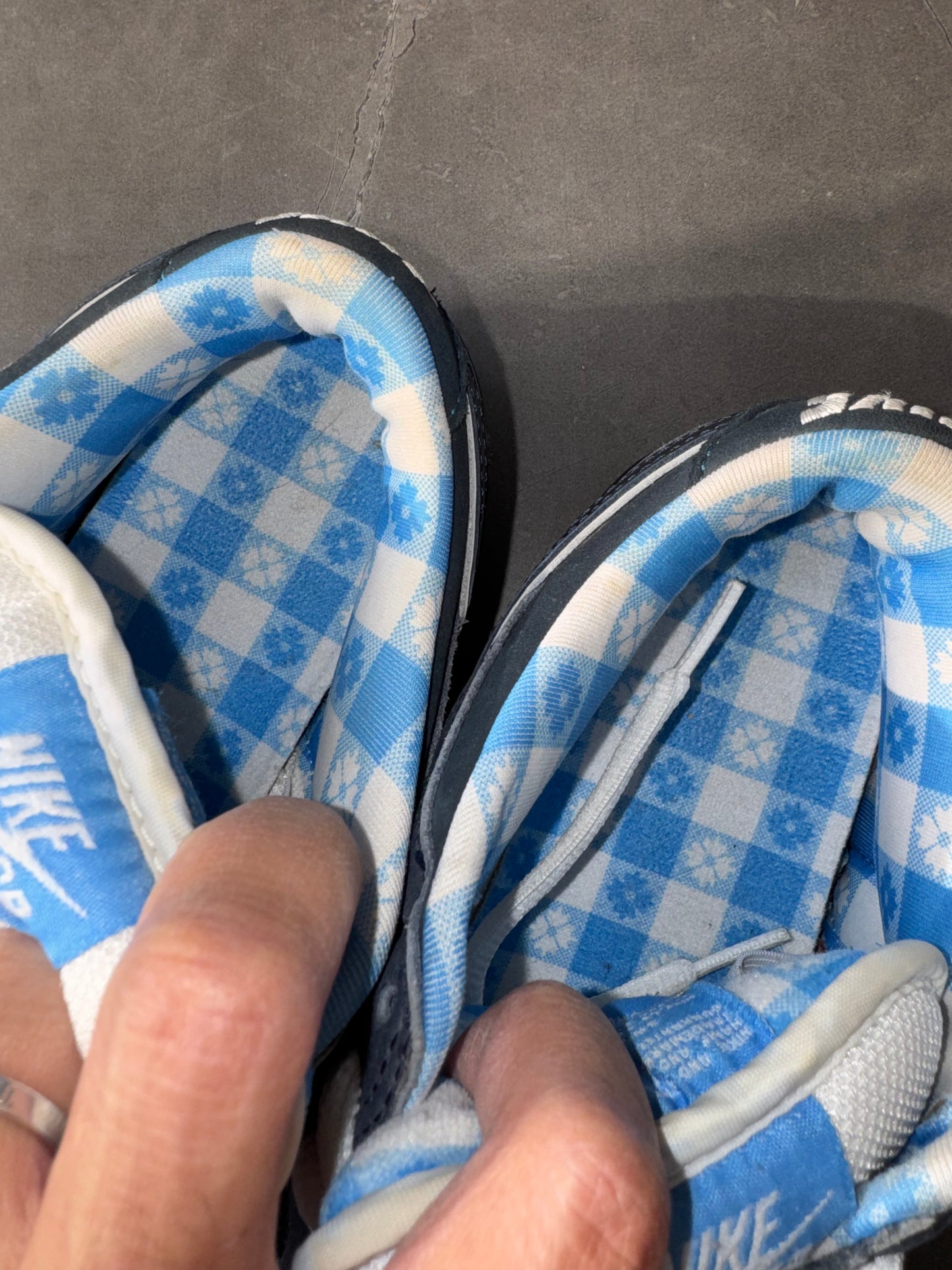 Dunk Low Premium SB Blue Lobster 2009