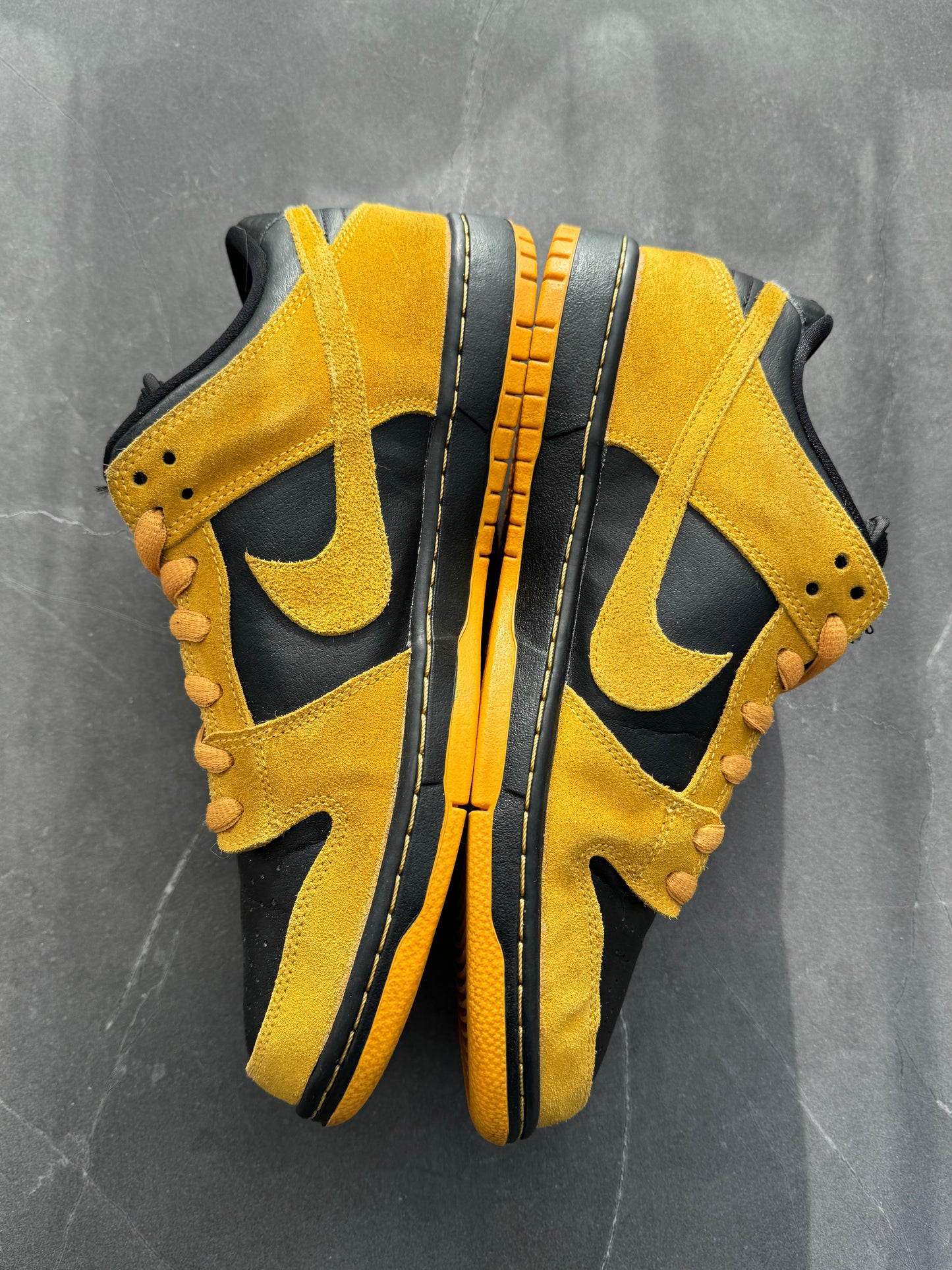 Dunk Low Pro SB Iowa 2015