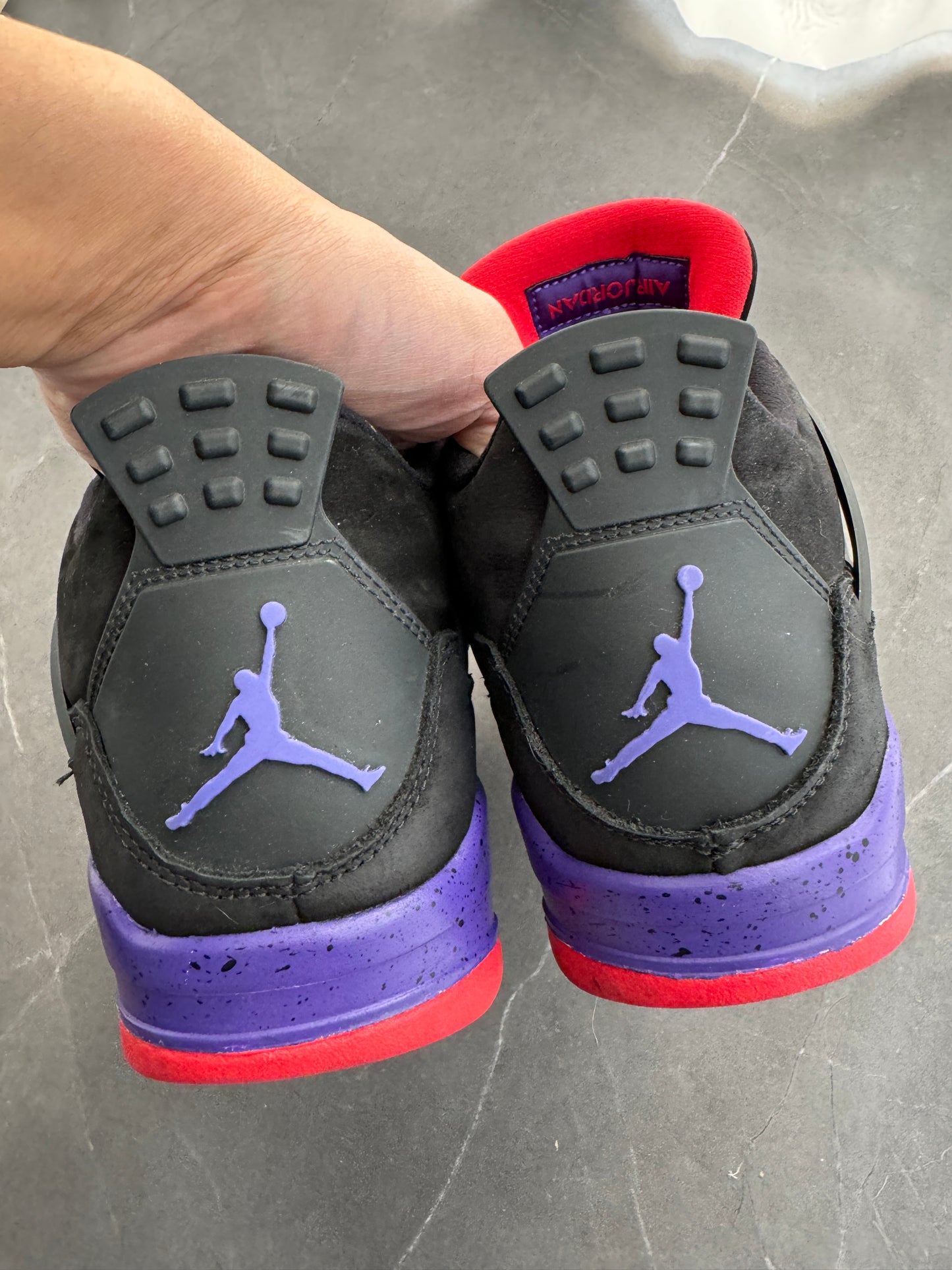 Air Jordan 4 Raptors