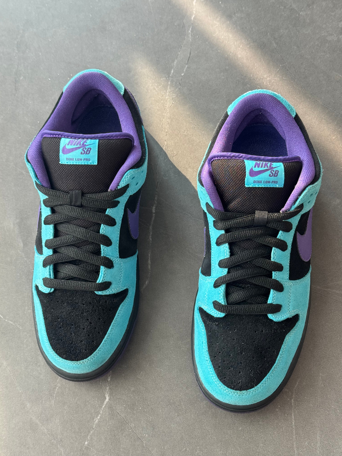 Dunk Low Pro SB Skeletor US10