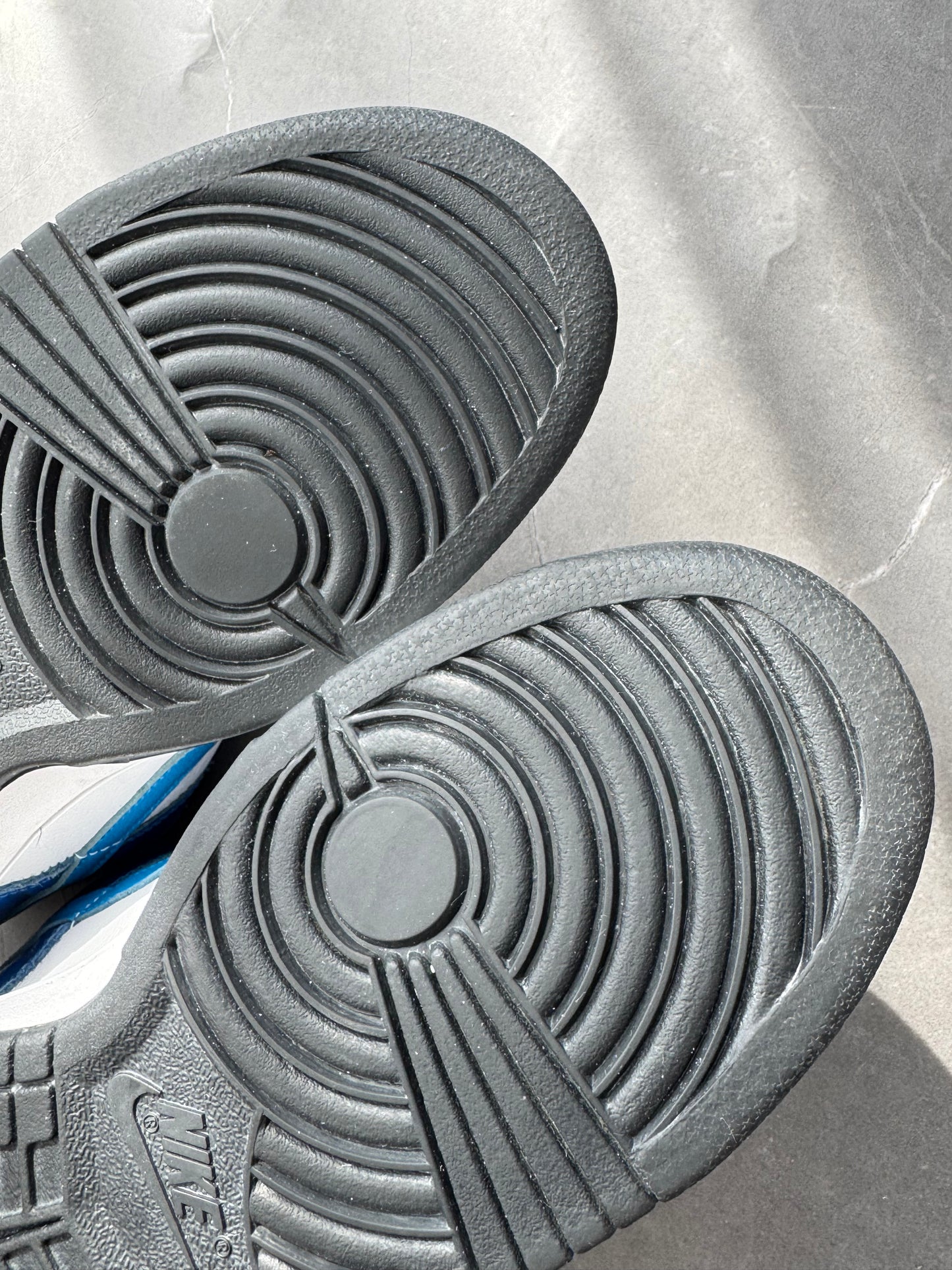 Dunk Low Pro SB Neptune 2006 US9
