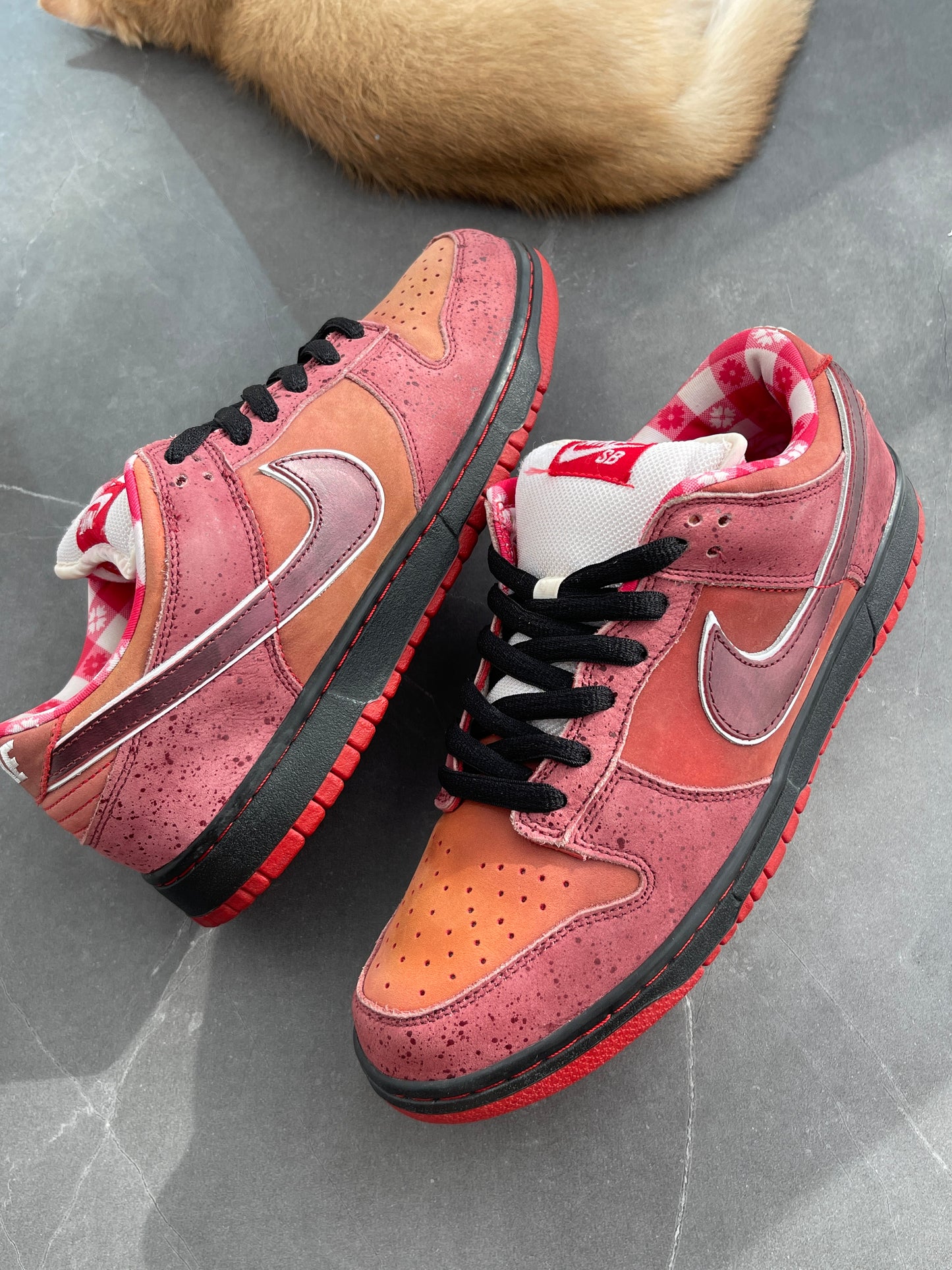 Dunk Low Premium SB Red Lobster US9.5