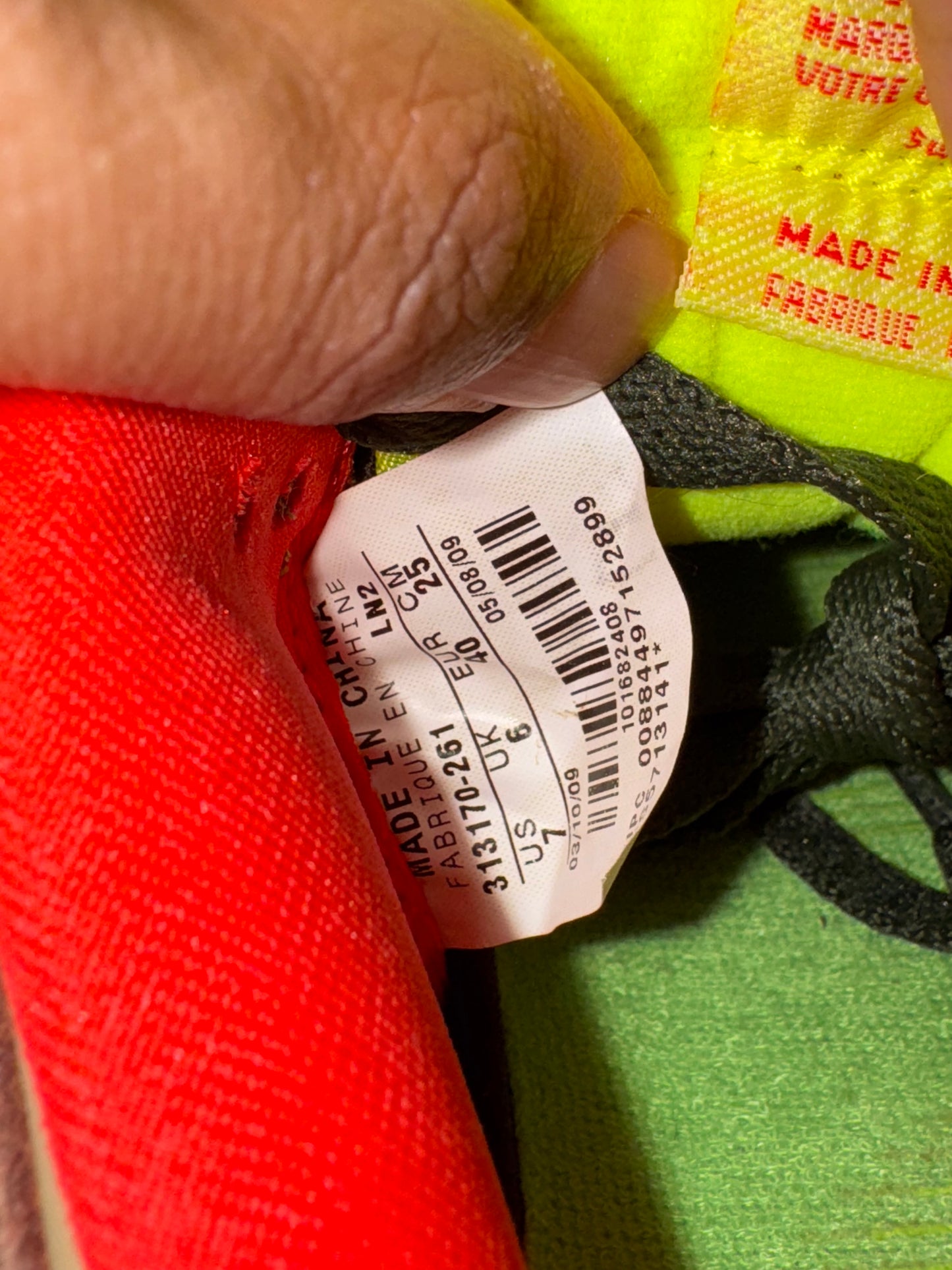 Dunk Low Premium SB Toxic Sea Robin 2009