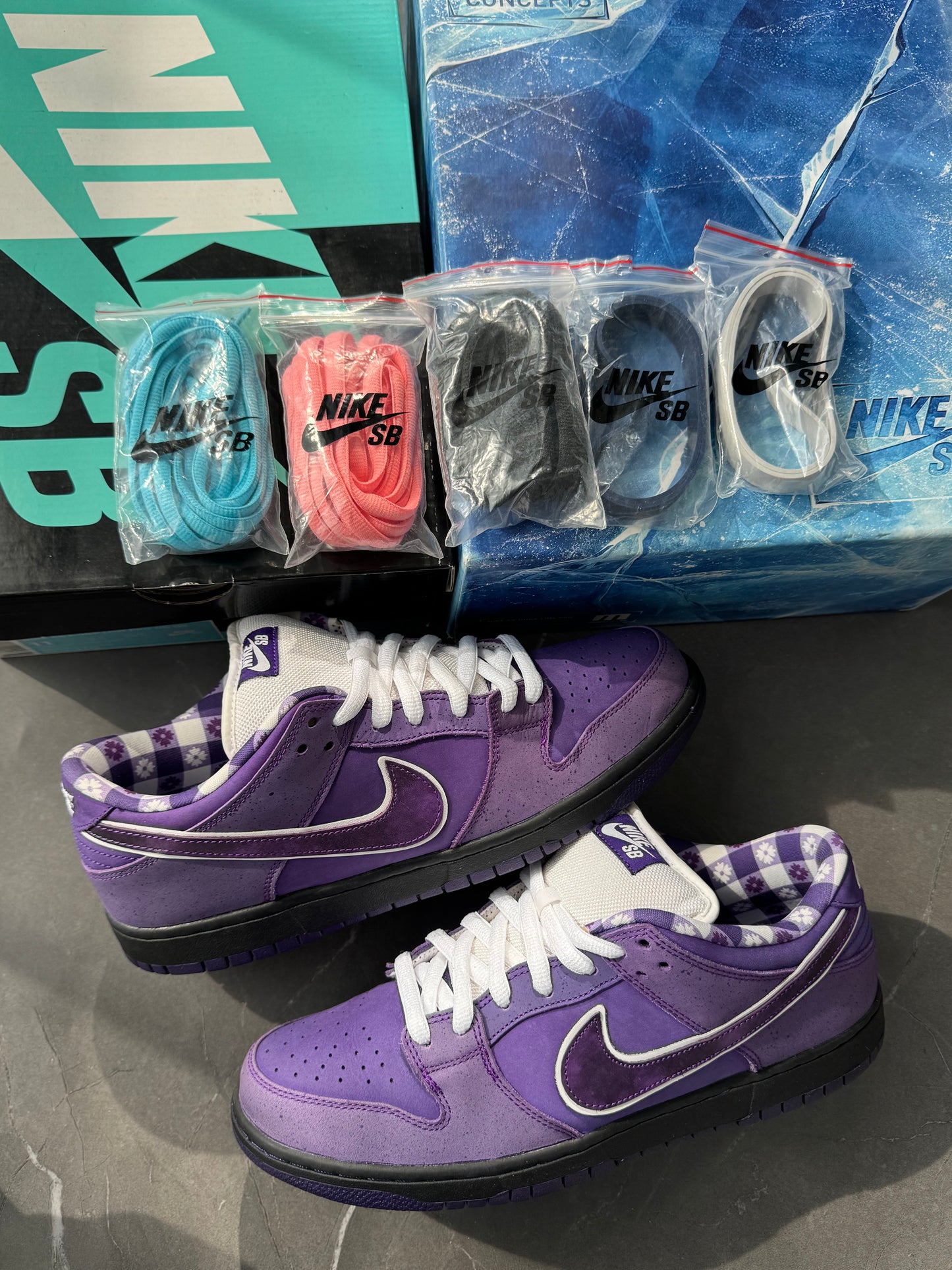 Dunk Low Pro SB Purple Lobster Special Box US11