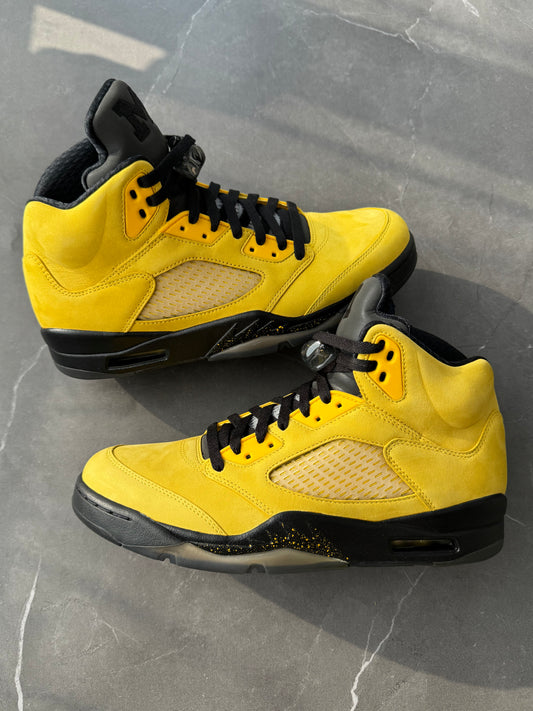 Air Jordan 5 Michigan "Fab Five" PE
