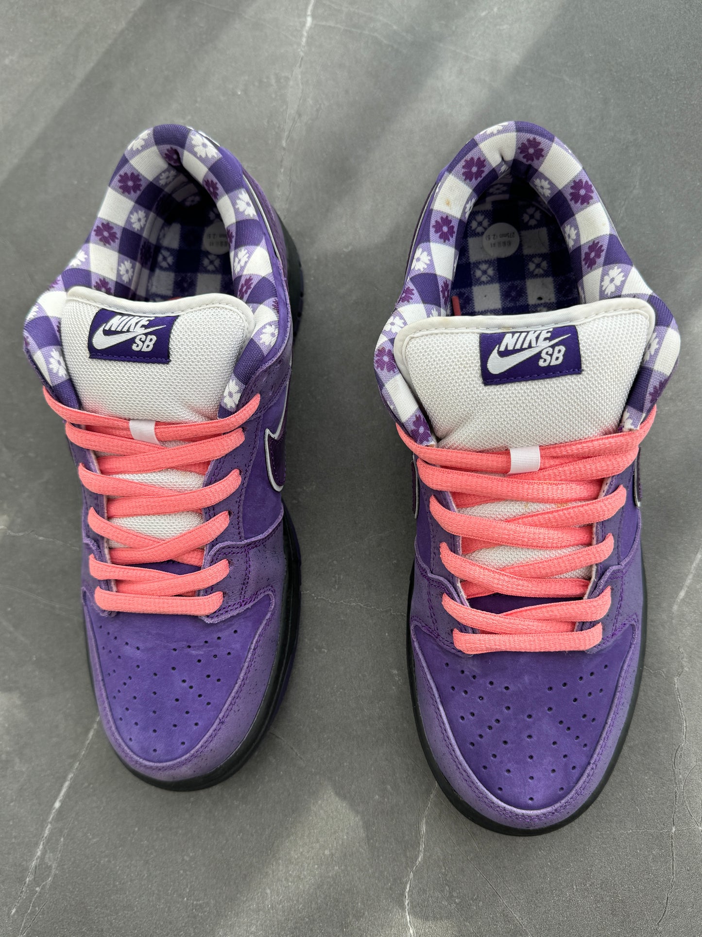 Dunk Low Pro SB Purple Lobster US9.5