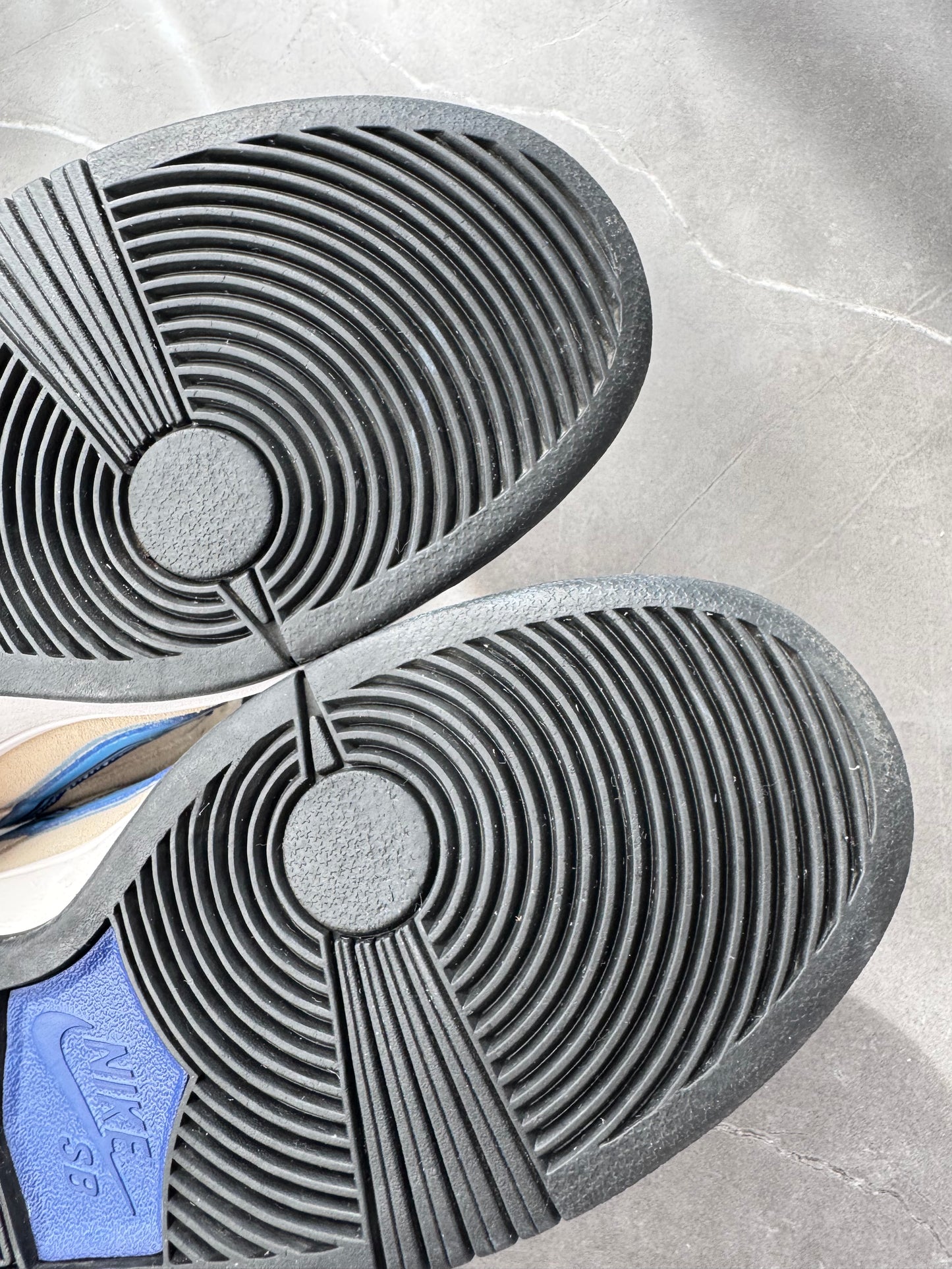 Dunk Low Pro SB Truck It Sample
