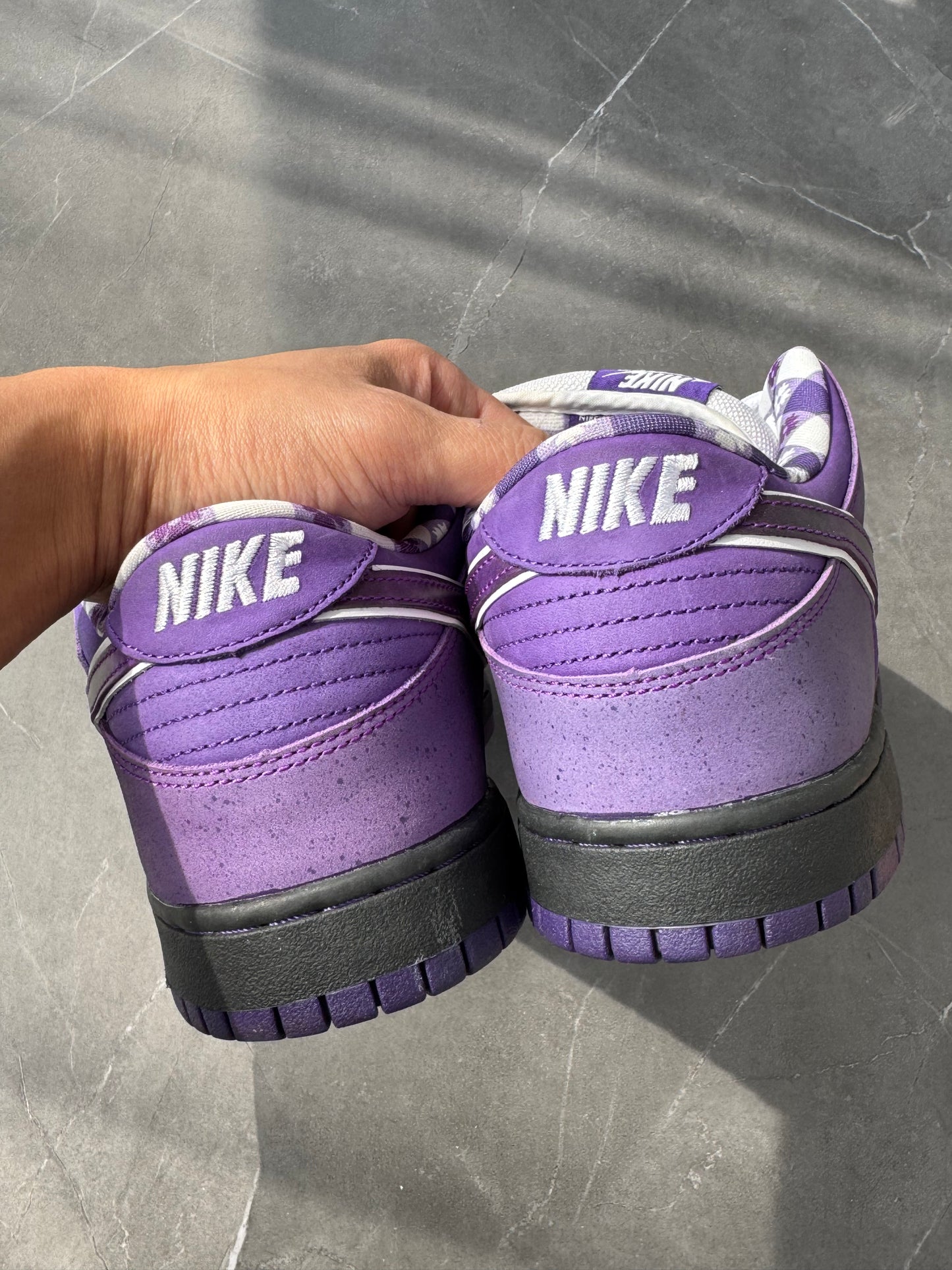 Dunk Low Pro SB Purple Lobster Special Box US11