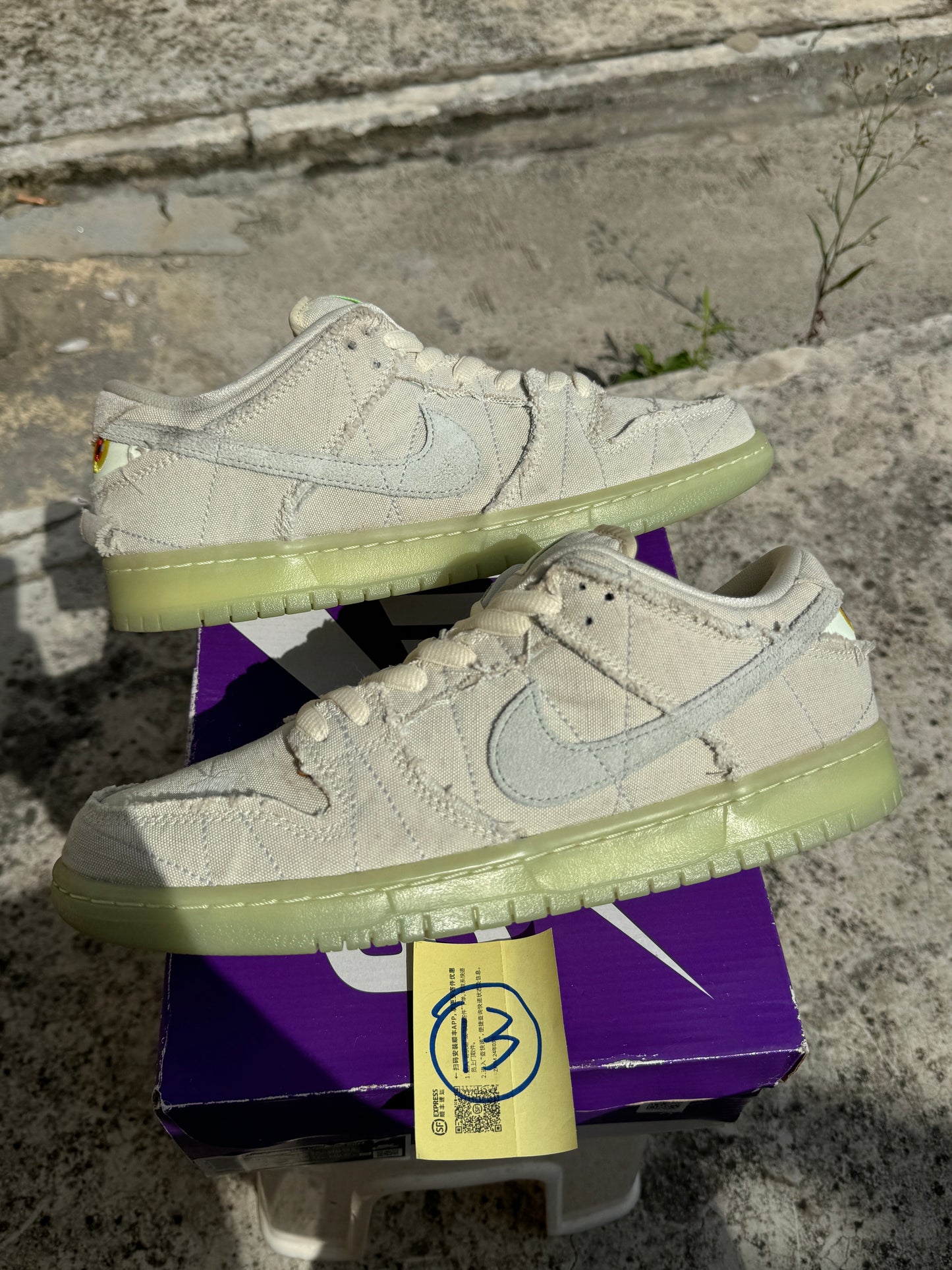 1️⃣3️⃣ Dunk Low Pro SB Mummy US10.5