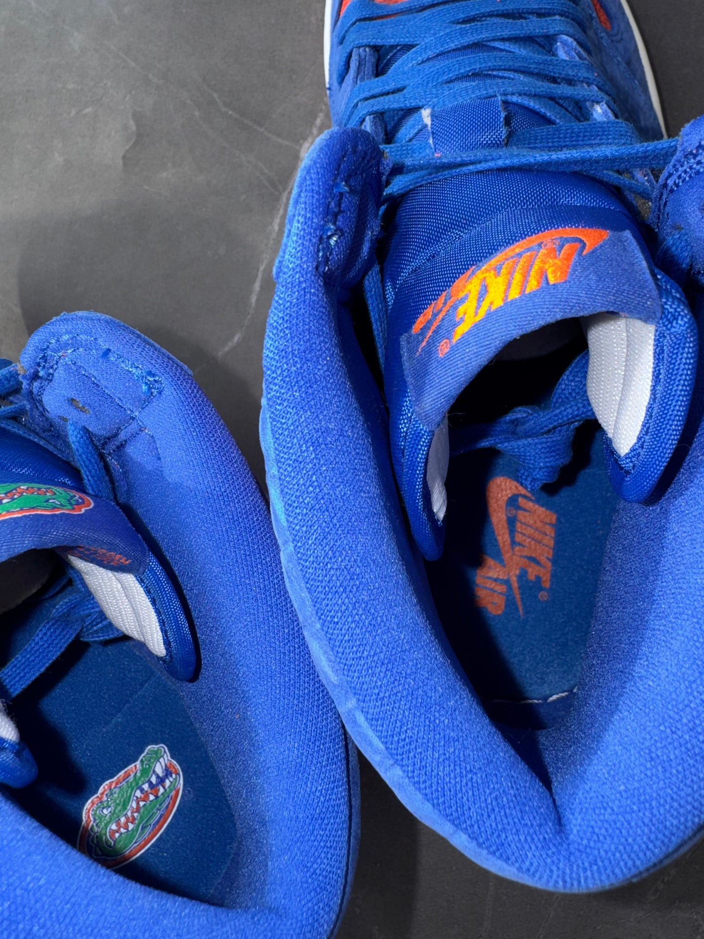 Air Jordan 1 High Florida Gators PE 🐊