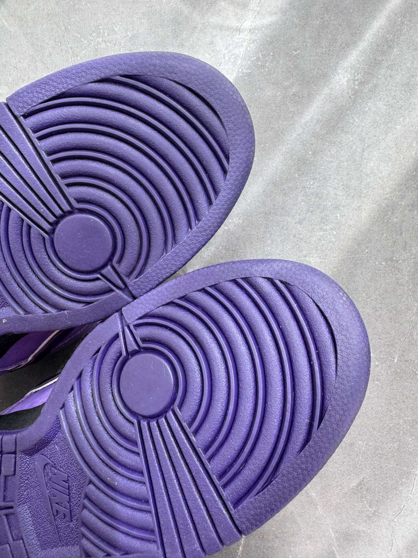 Dunk Low Pro SB Purple Lobster US9.5