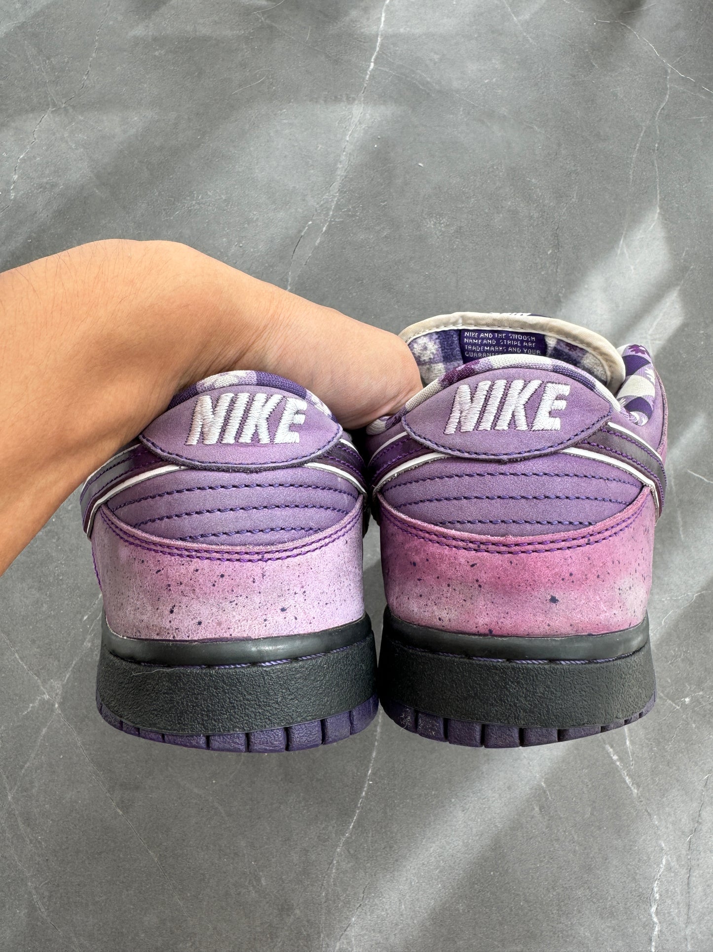 Dunk Low Pro SB Purple Lobster US9.5