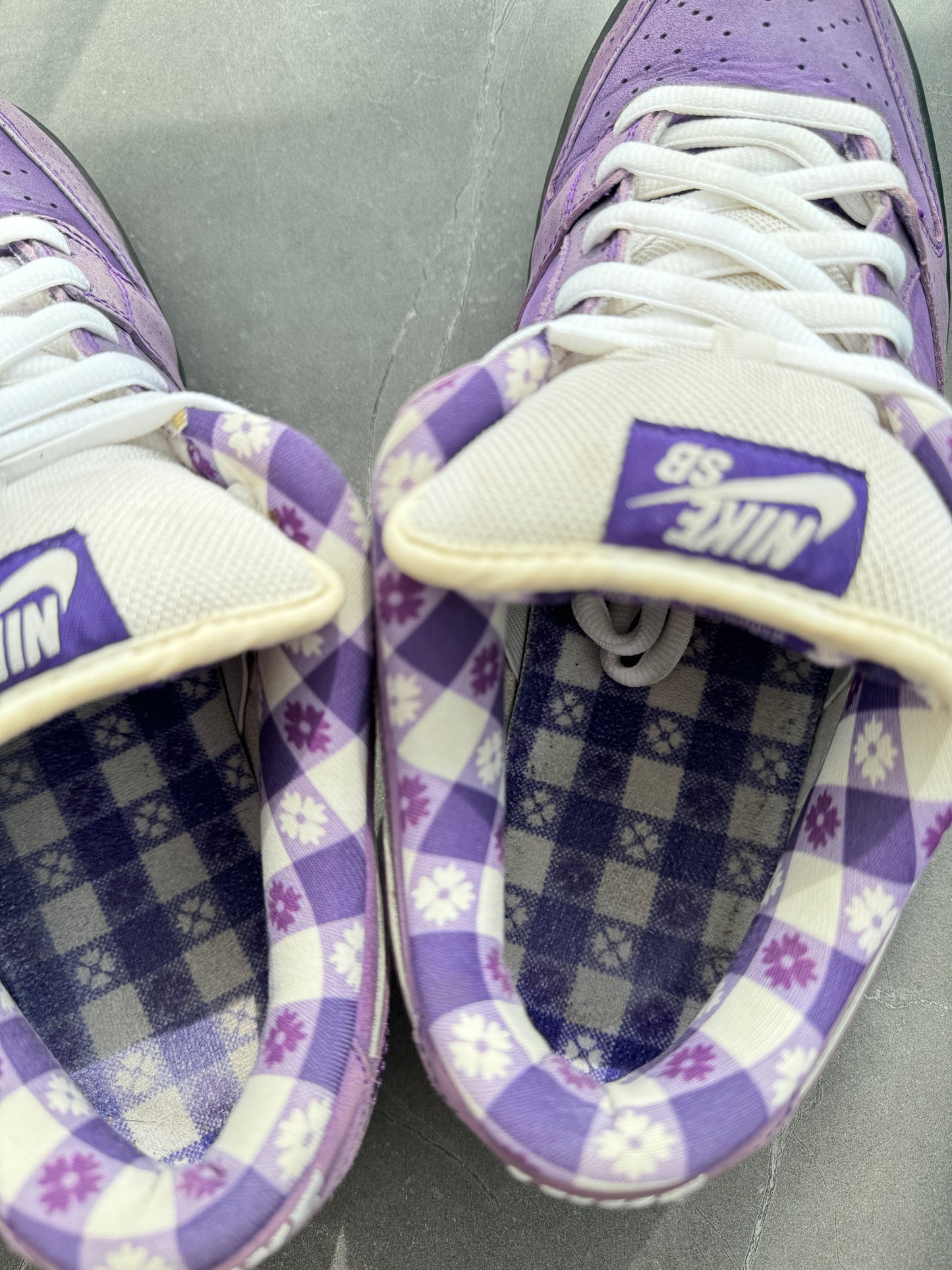 Dunk Low Pro SB Purple Lobster US10.5