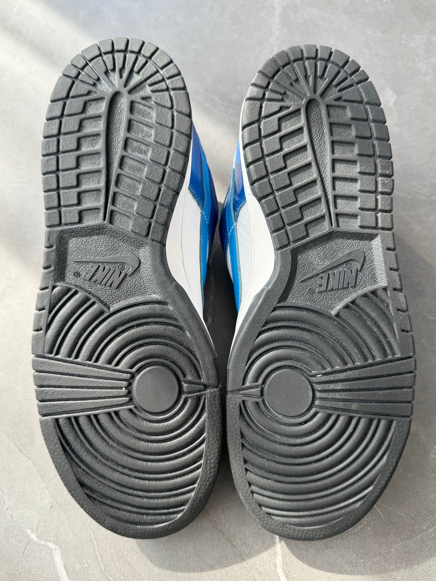 Dunk Low Pro SB Neptune 2006 US9