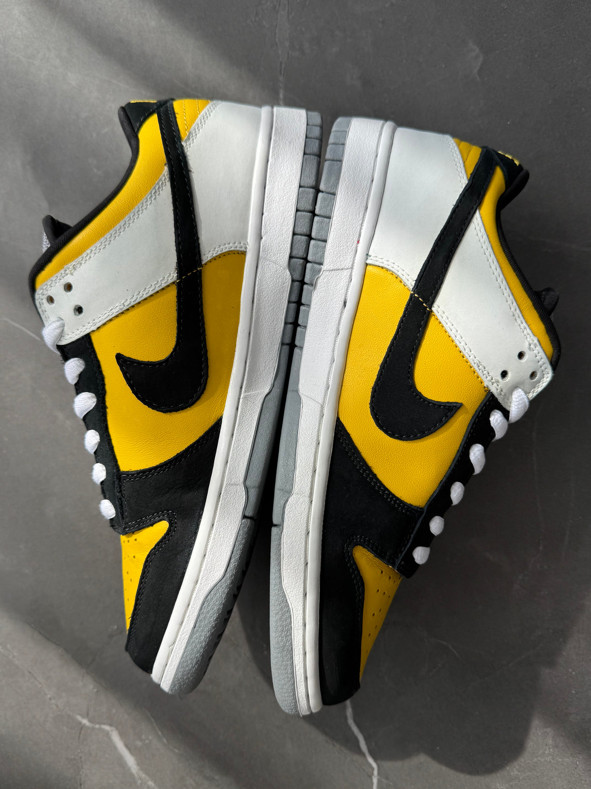 Dunk Low Pro SB Bic 2006 US9