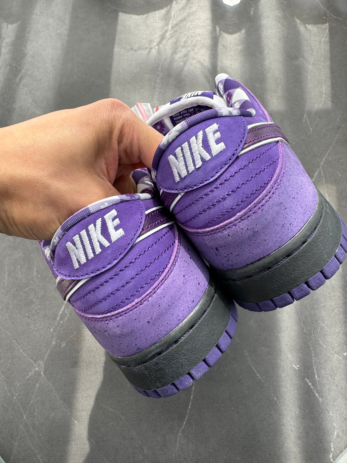 Dunk Low Pro SB Purple Lobster US10