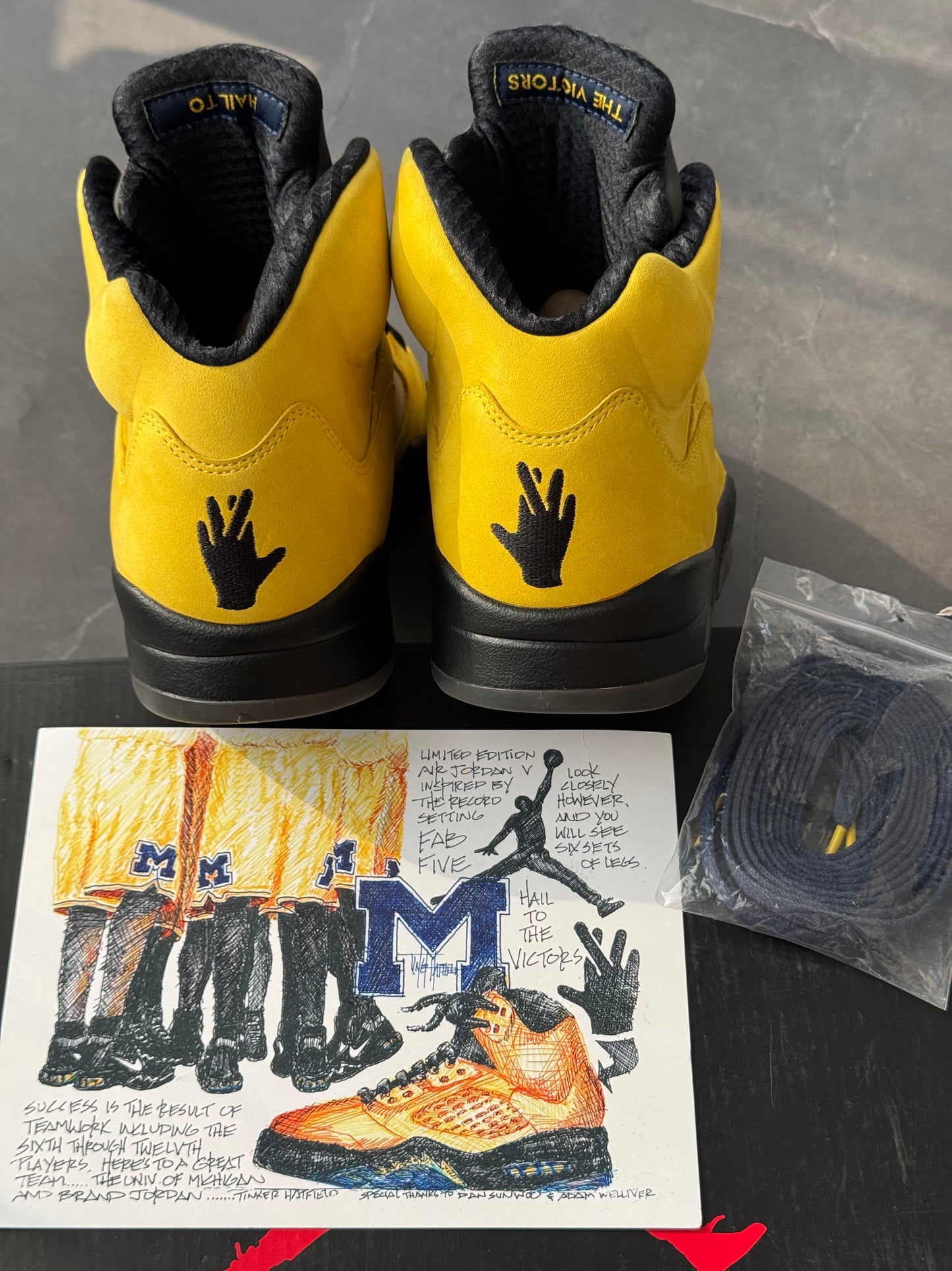 Air Jordan 5 Michigan "Fab Five" PE