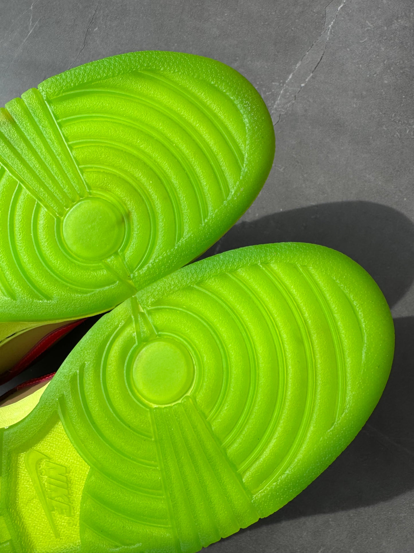 Dunk Low Premium SB Toxic Sea Robbin 2009 US11