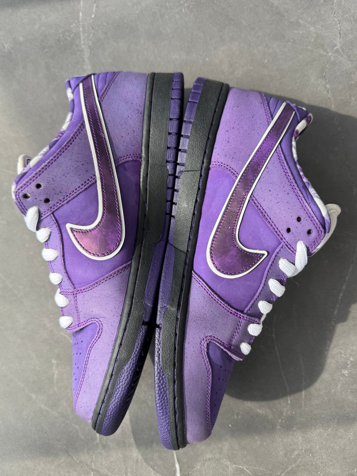 Dunk Low Pro SB Purple Lobster Special Box US11