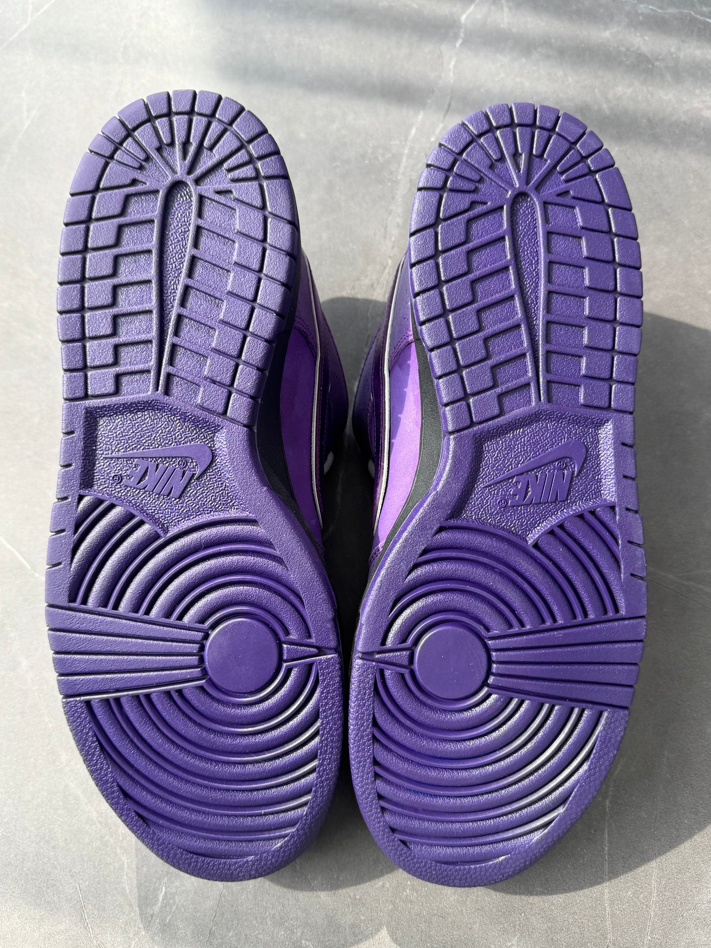 Dunk Low Pro SB Purple Lobster Special Box US11